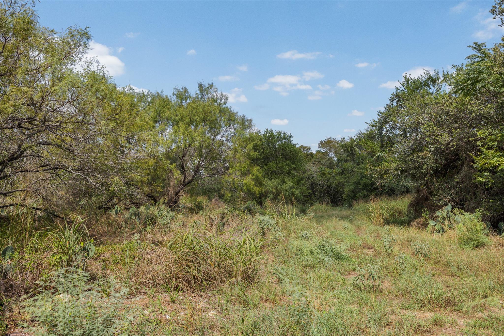 3650 County Road 304