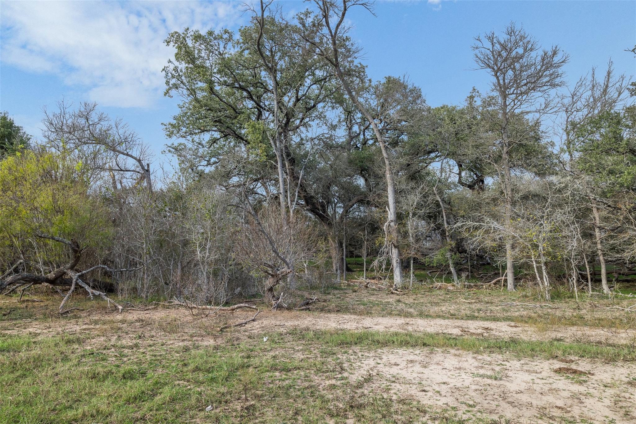1144 Treetop LN