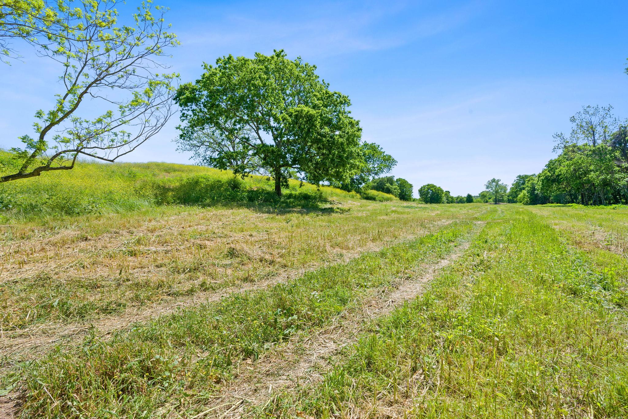 665 SH 230 Loop, Smithville