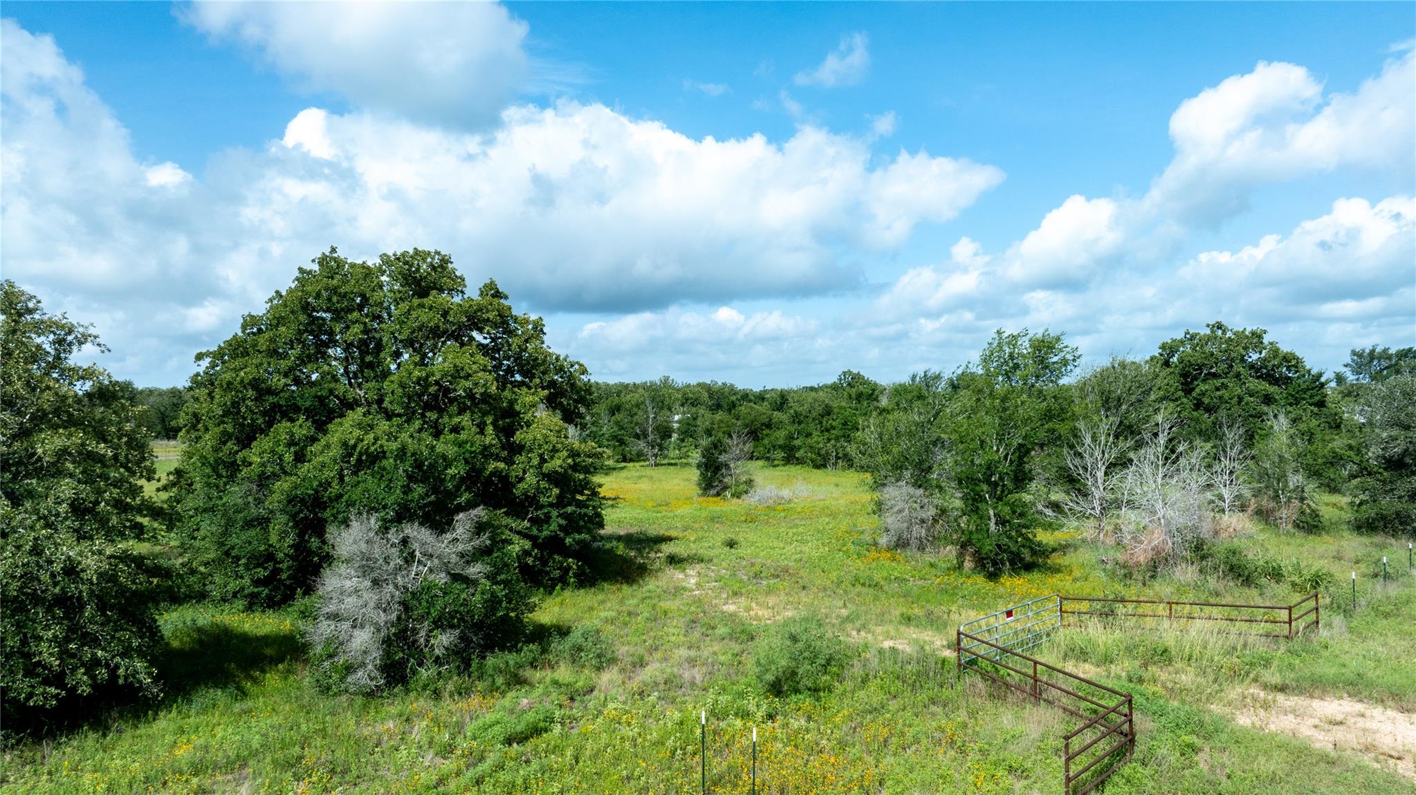 1388 County Road 125