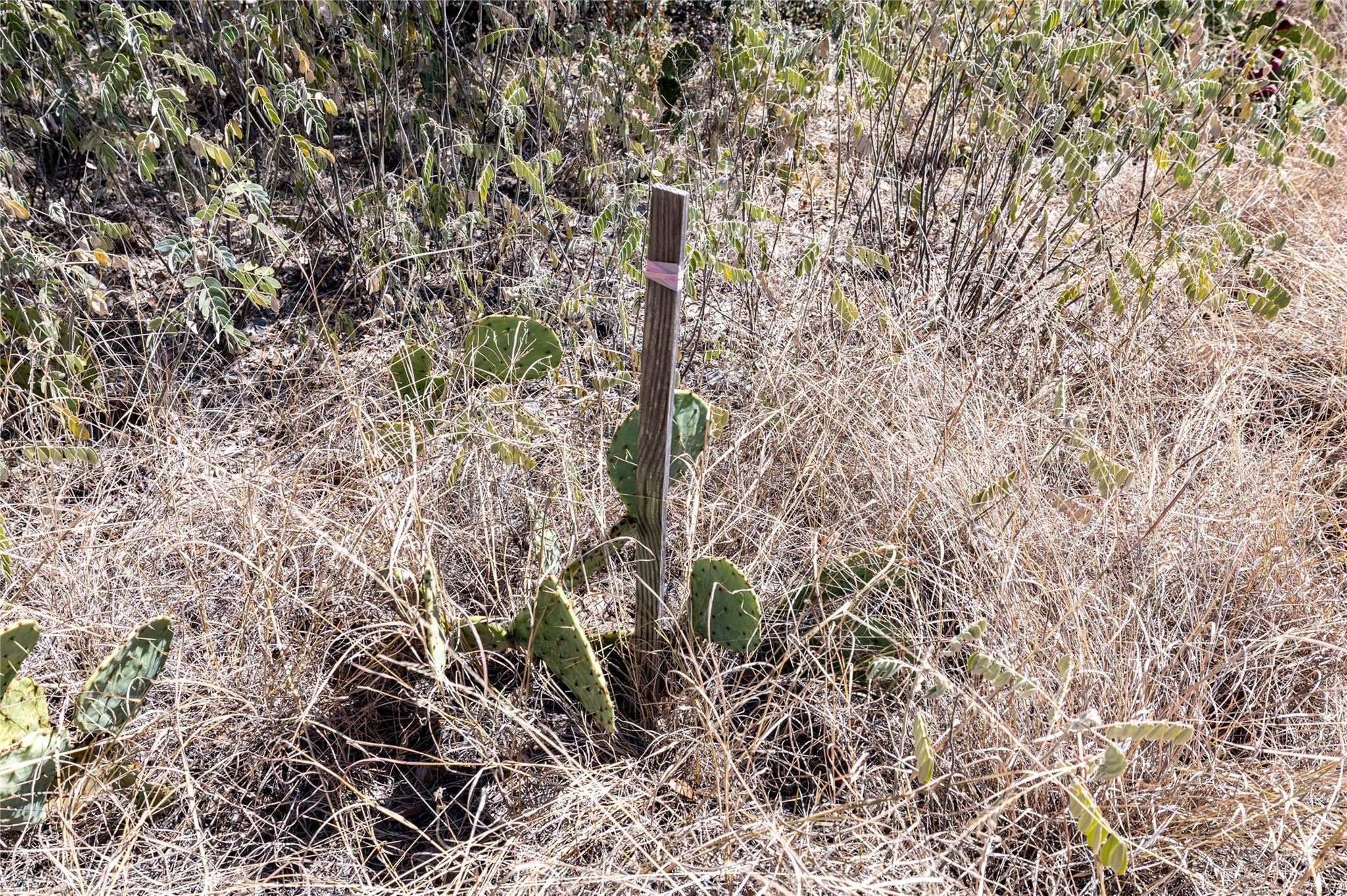 K11096 Chisolm TRL, Horseshoe Bay
