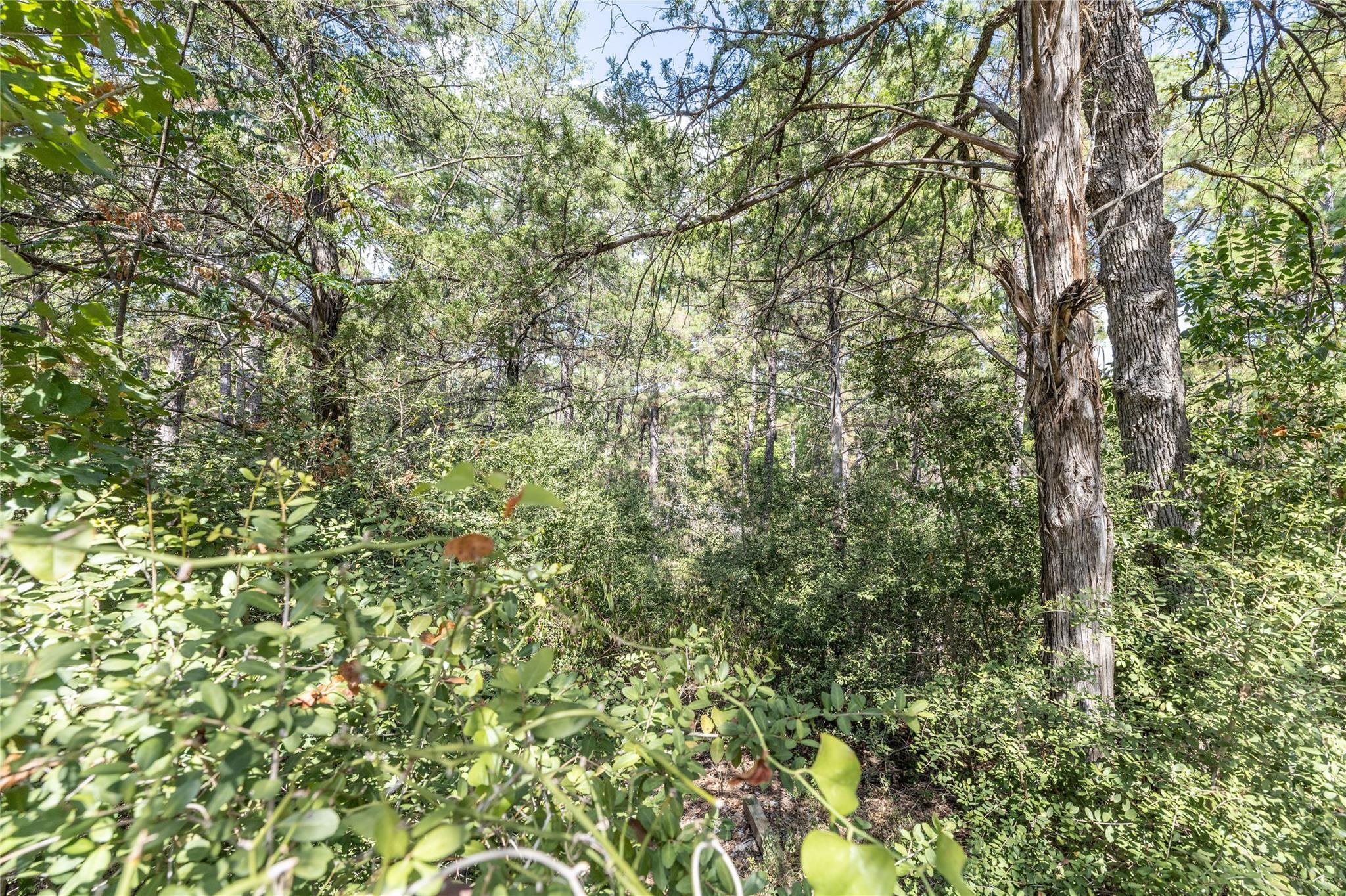 LOT 1263 W Kamoi CT
