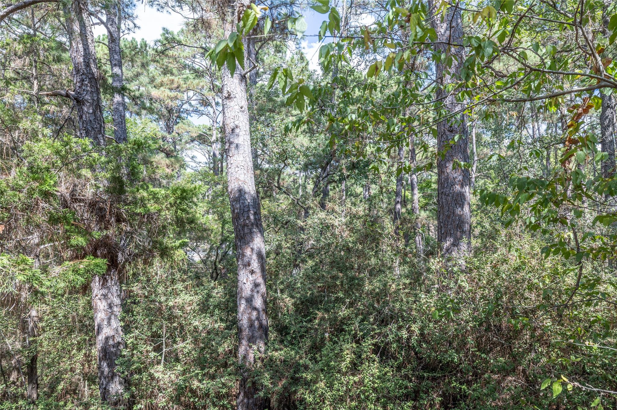 LOT 1263 W Kamoi CT