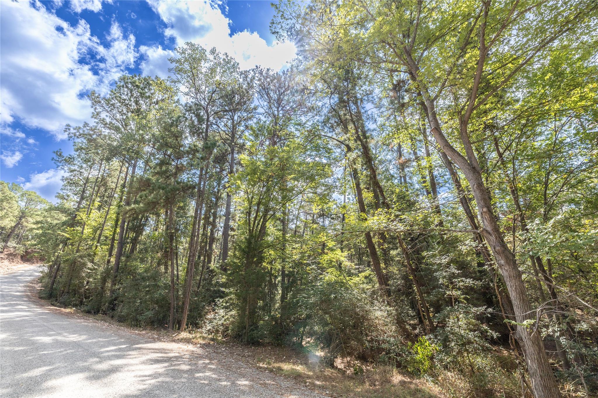 LOT 240 Hekili DR