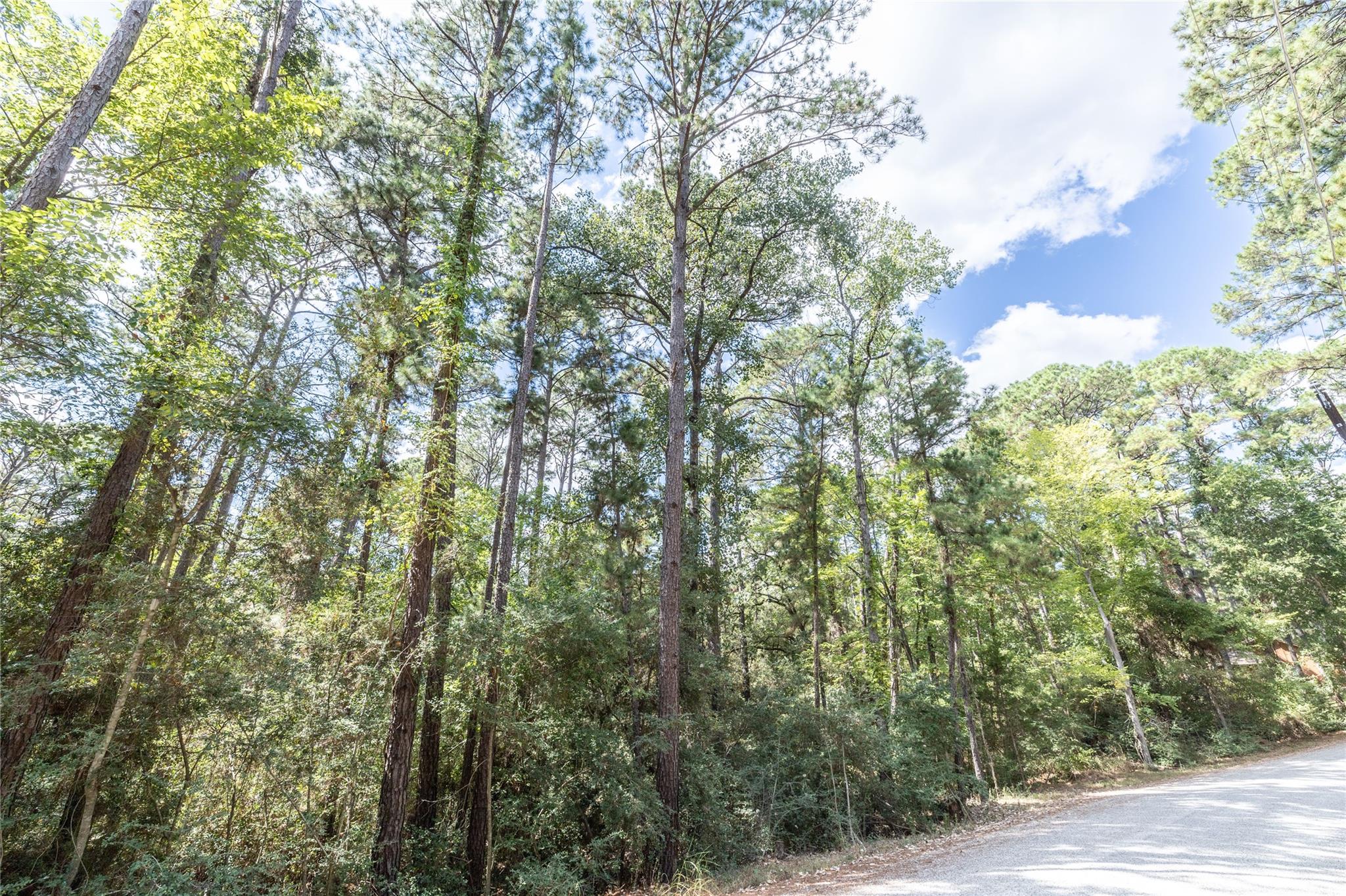LOT 240 Hekili DR