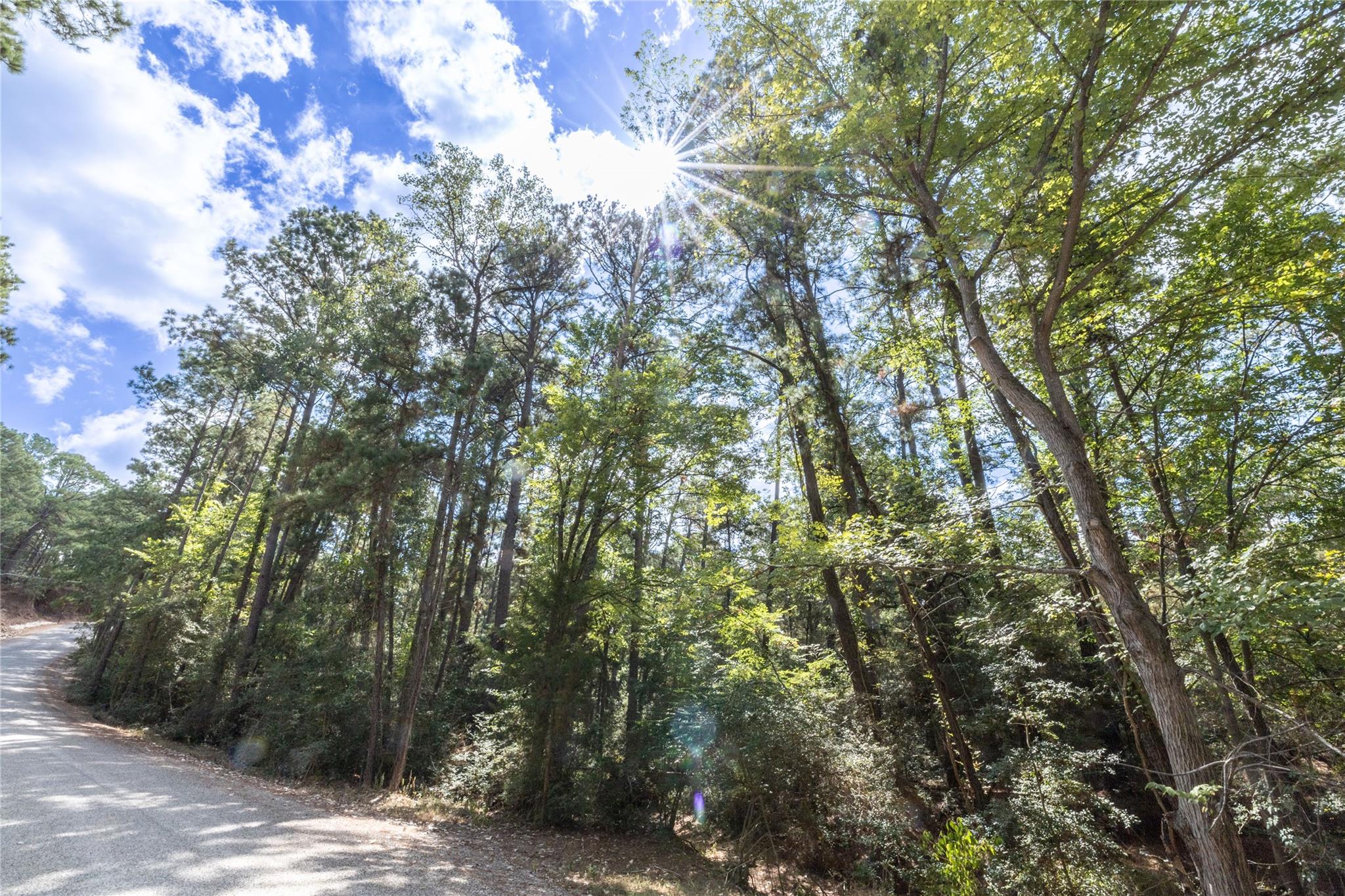 LOT 240 Hekili DR