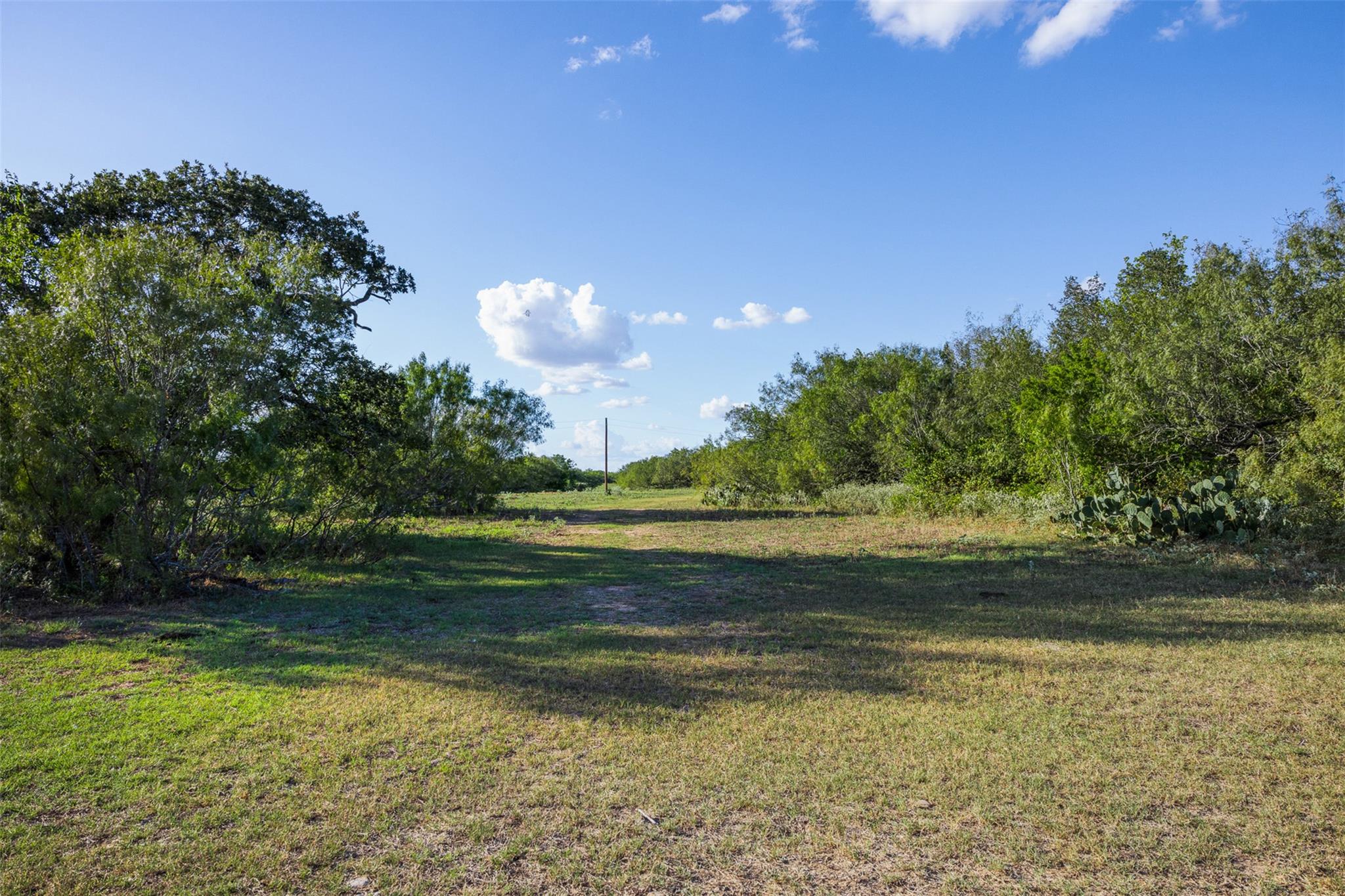 399 Seals Creek RD