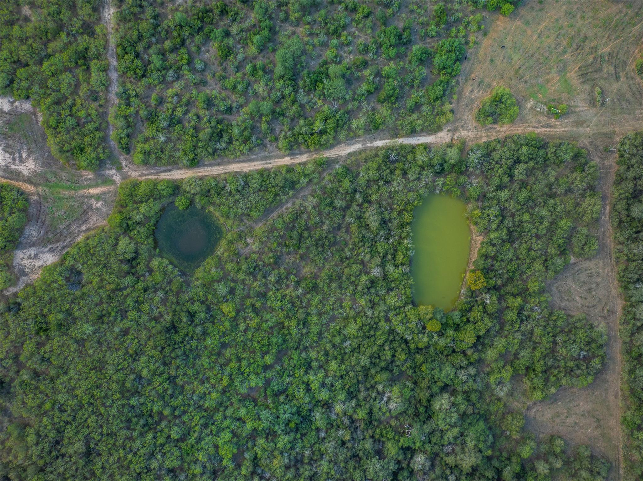 399 Seals Creek RD