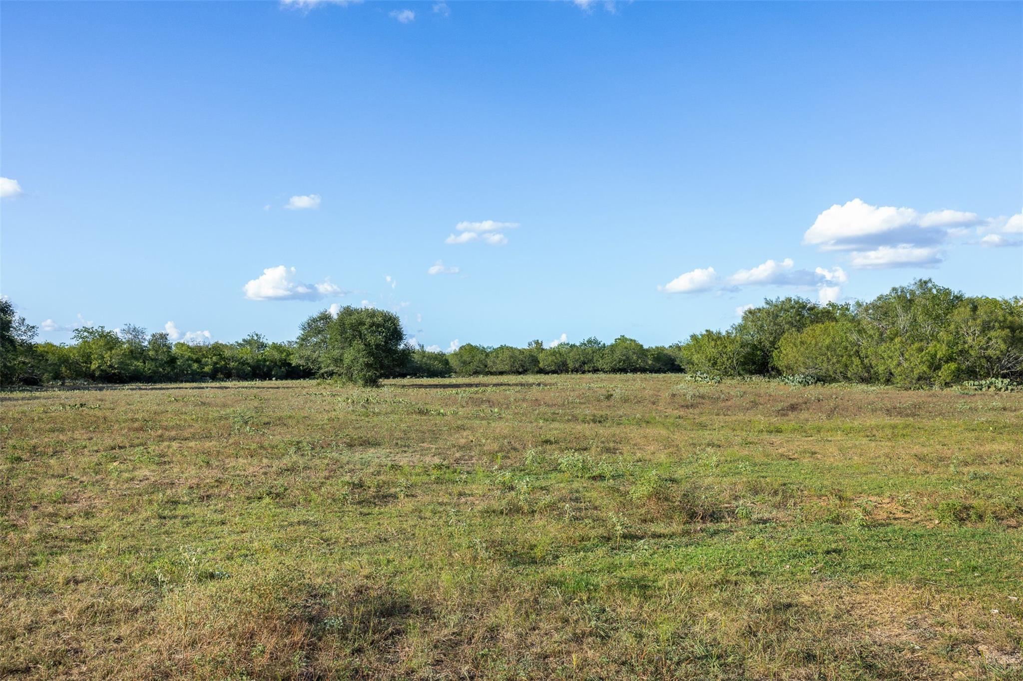 399 Seals Creek RD