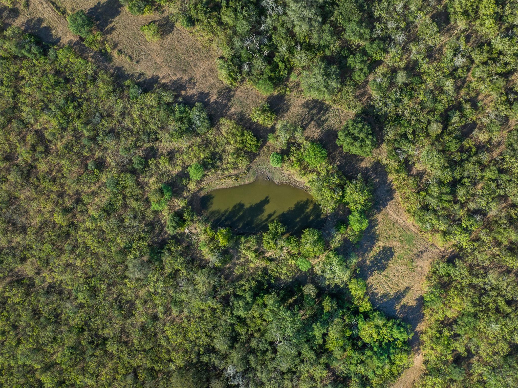 399 Seals Creek RD