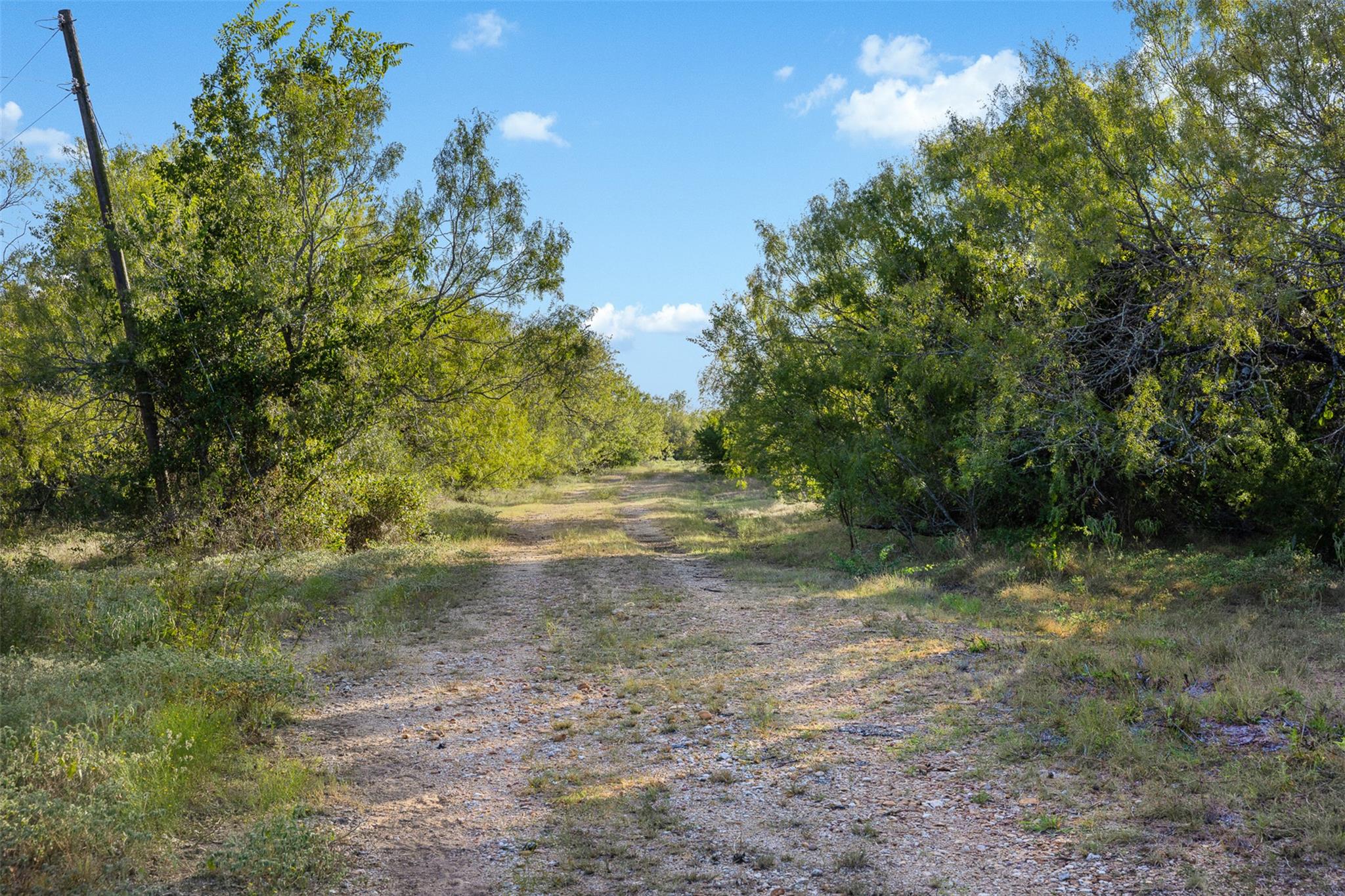 399 Seals Creek RD