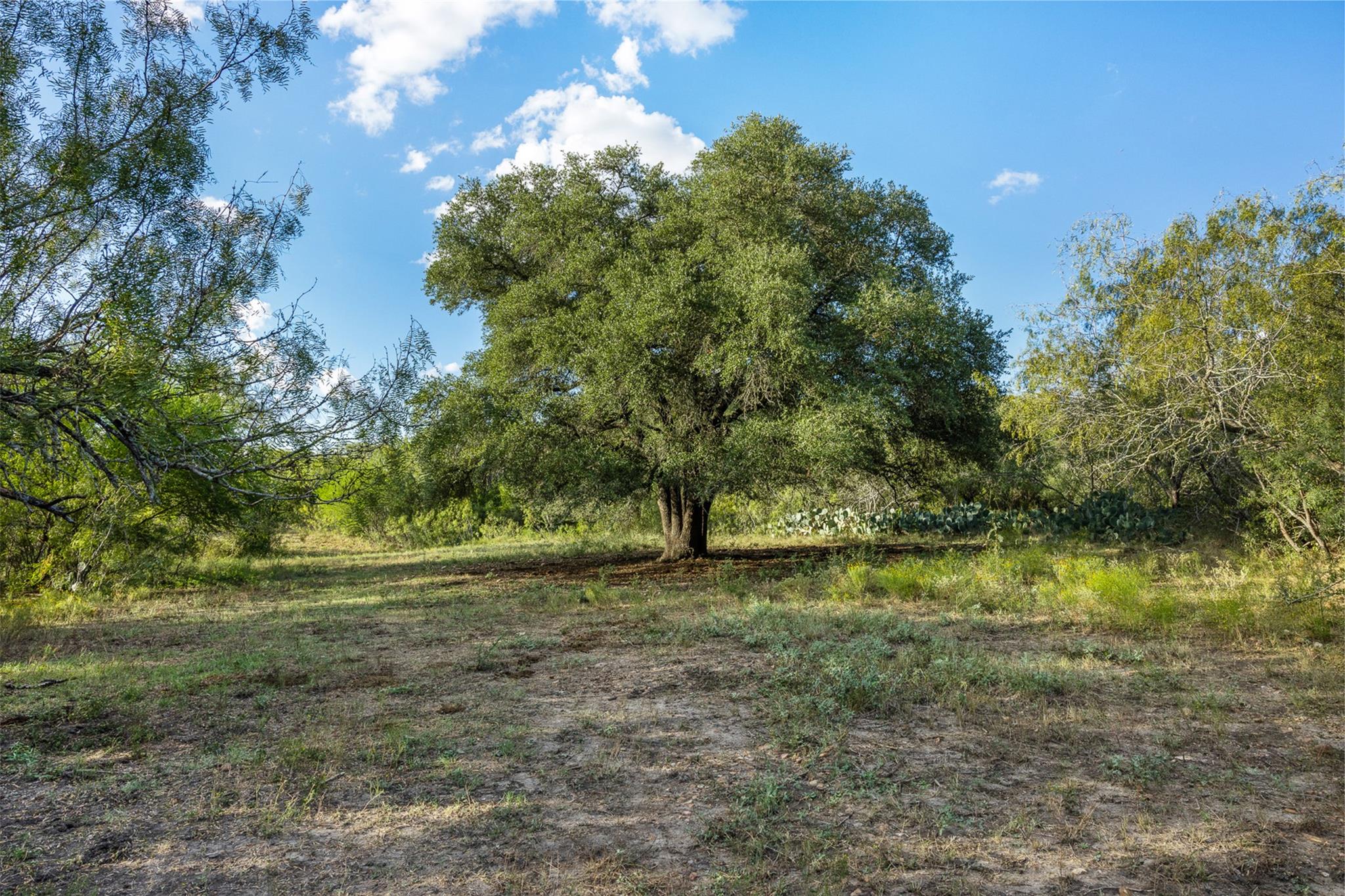 399 Seals Creek RD