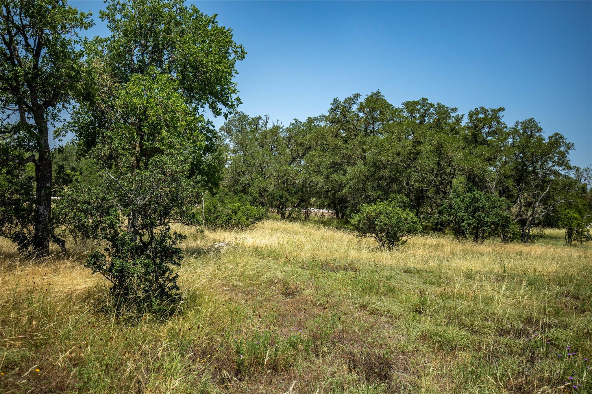 137 Steel Creek CRST