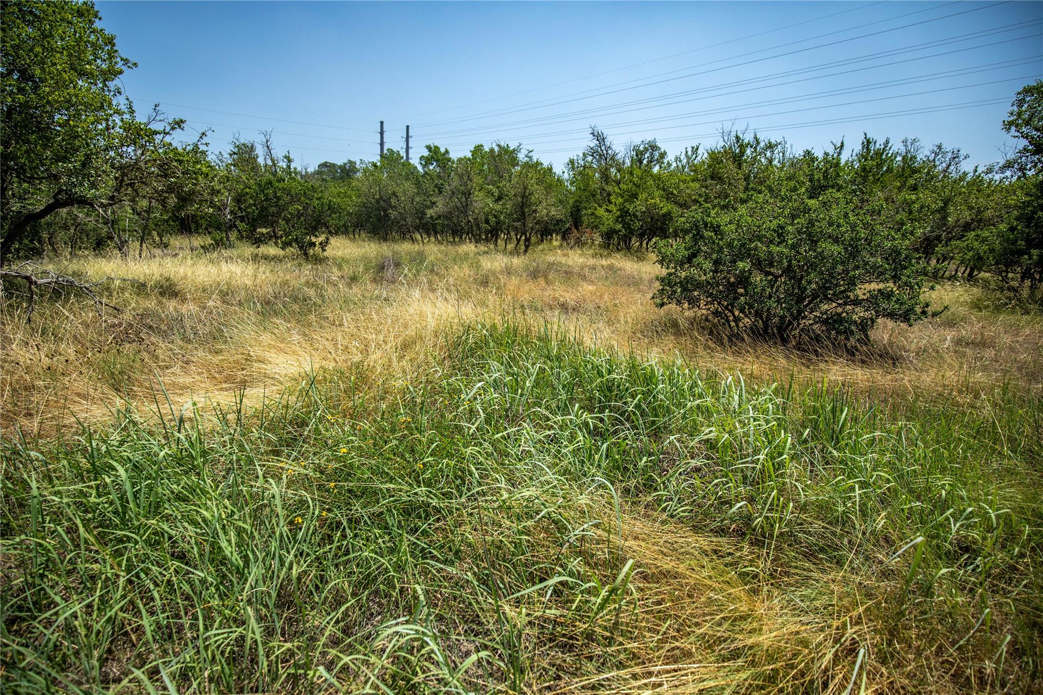 137 Steel Creek CRST