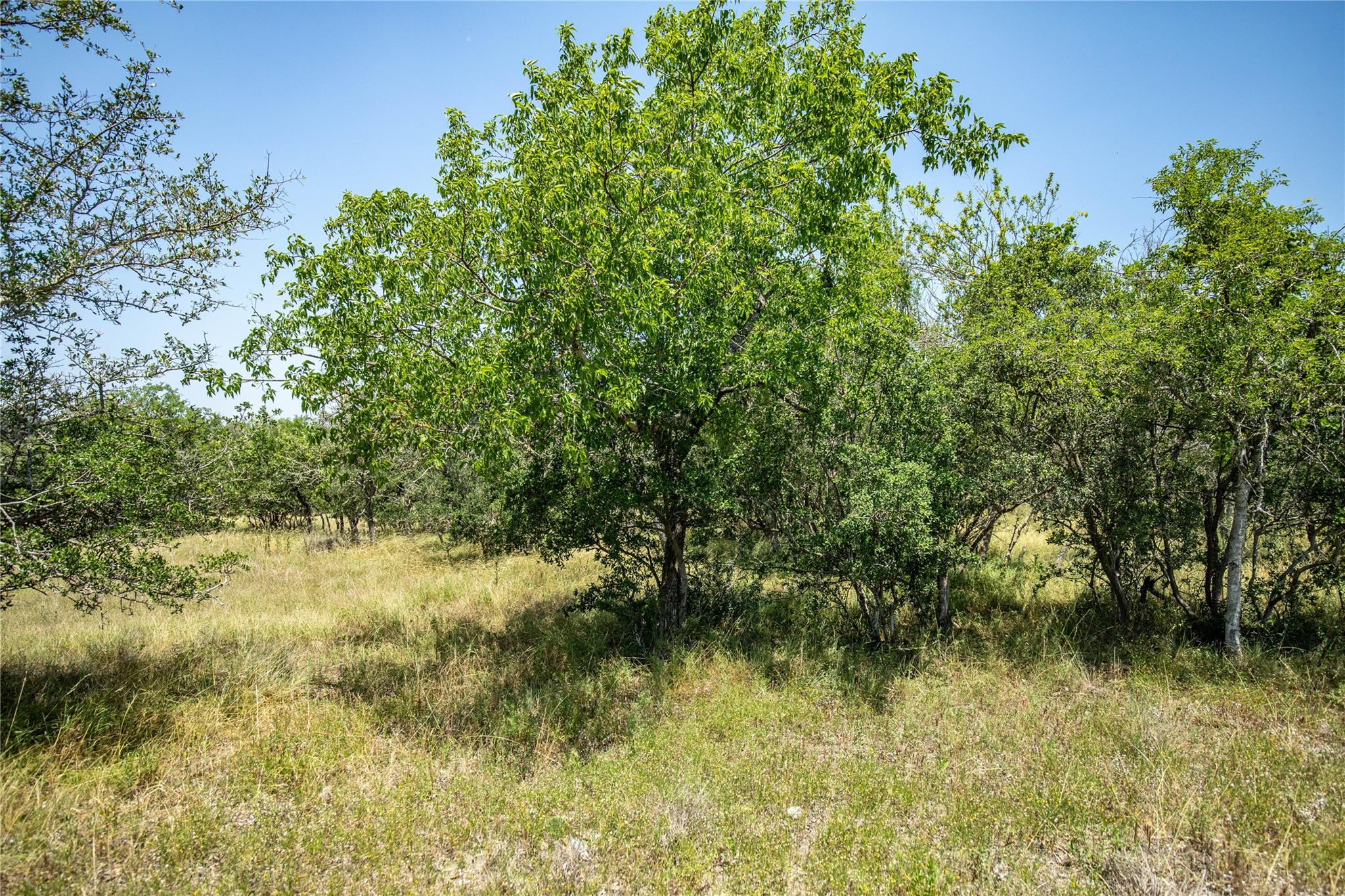 137 Steel Creek CRST