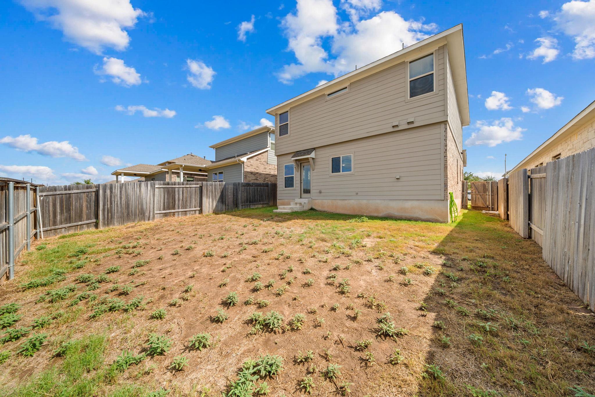 436 Spinnaker LOOP