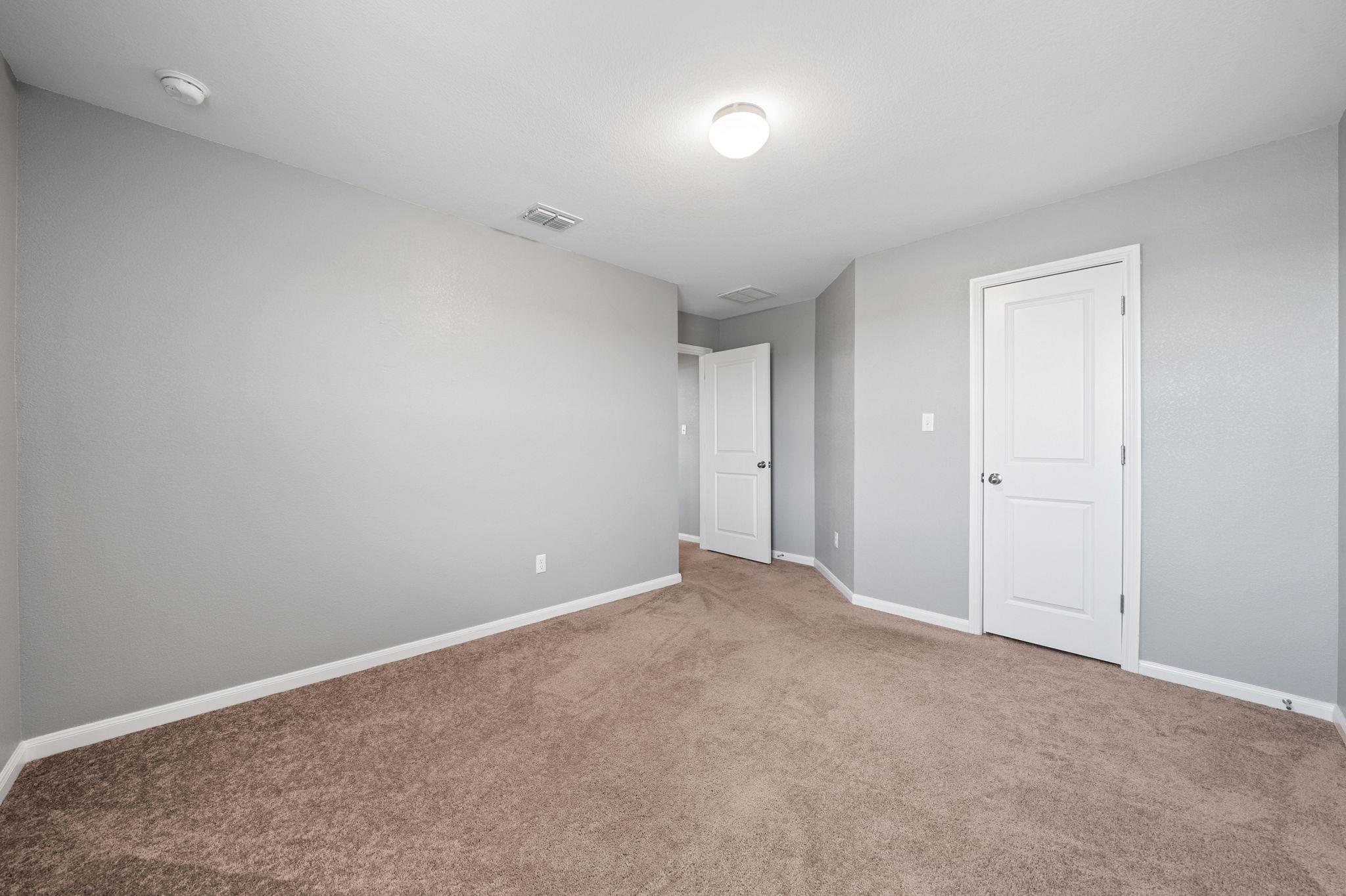 436 Spinnaker LOOP