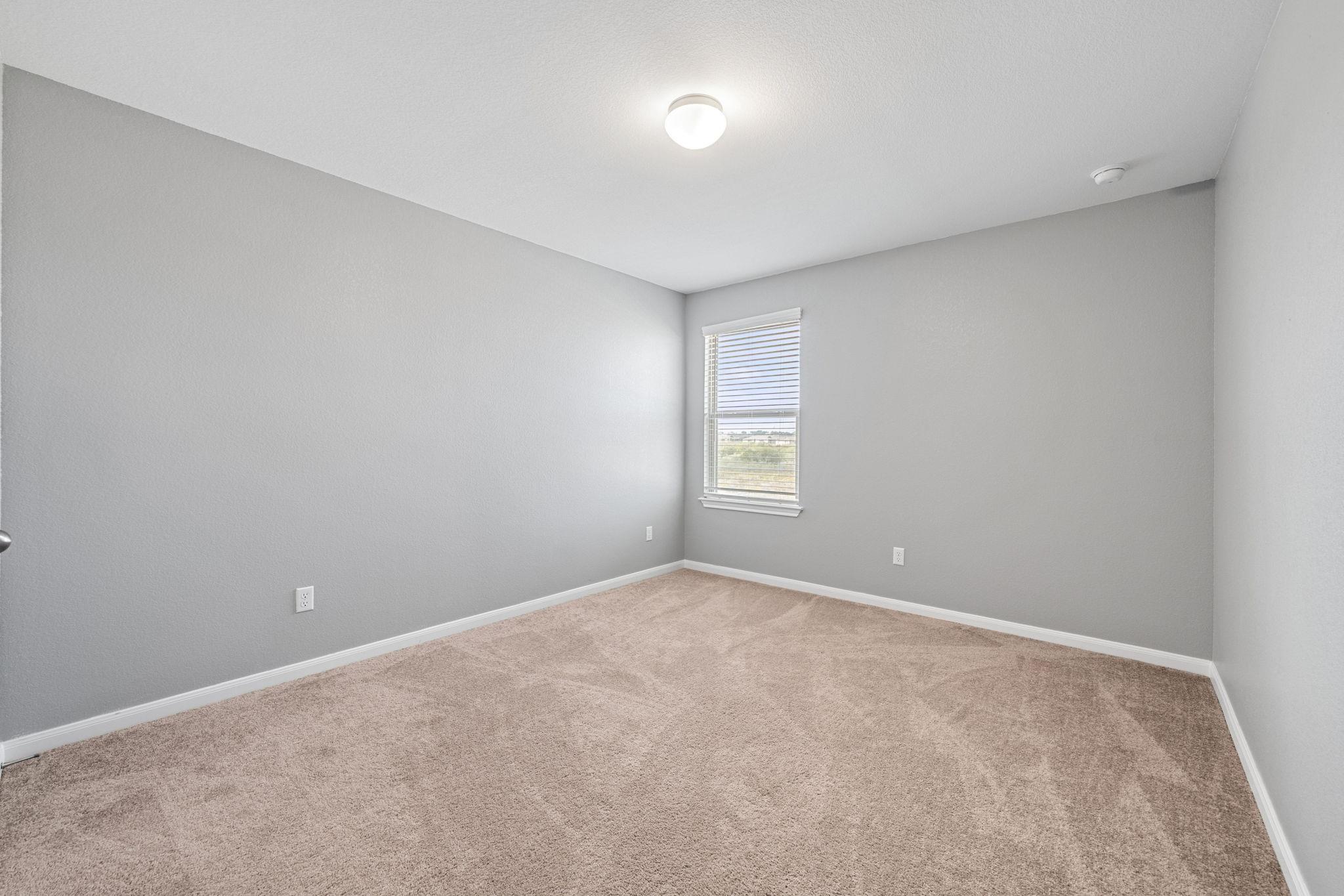 436 Spinnaker LOOP