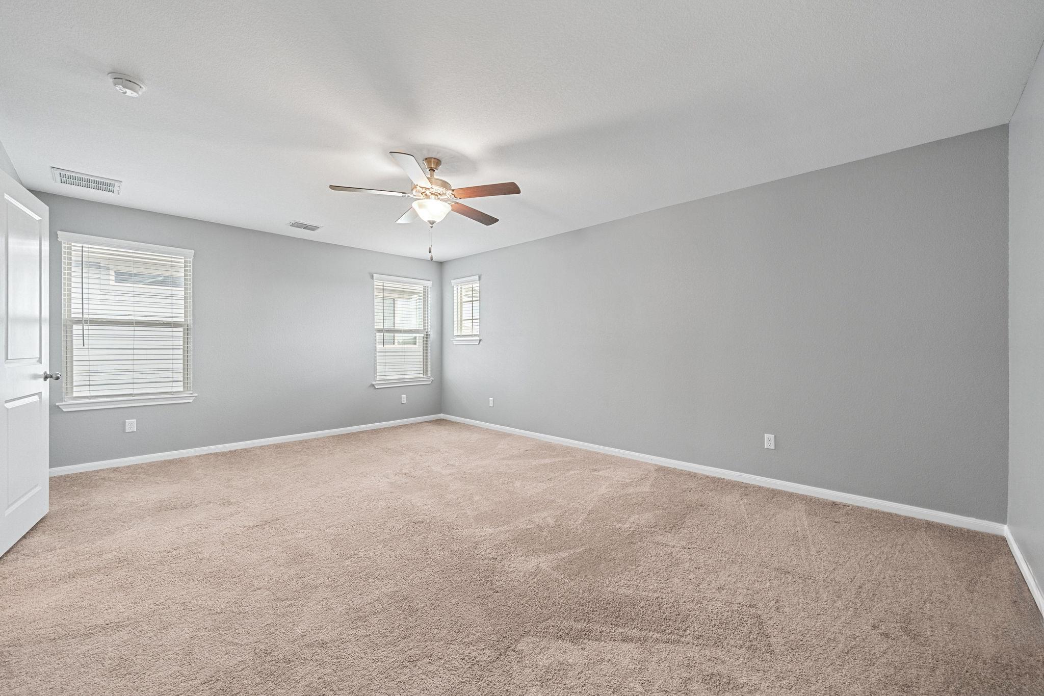 436 Spinnaker LOOP