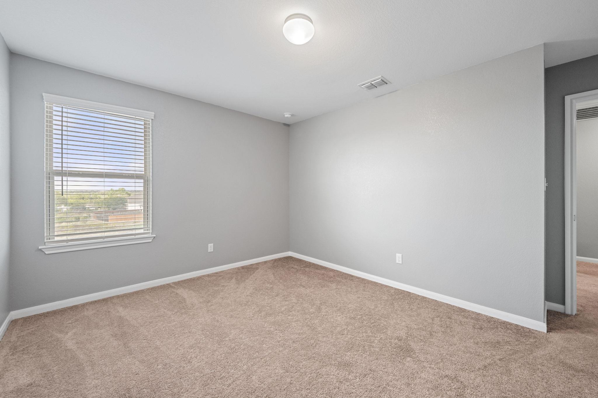 436 Spinnaker LOOP