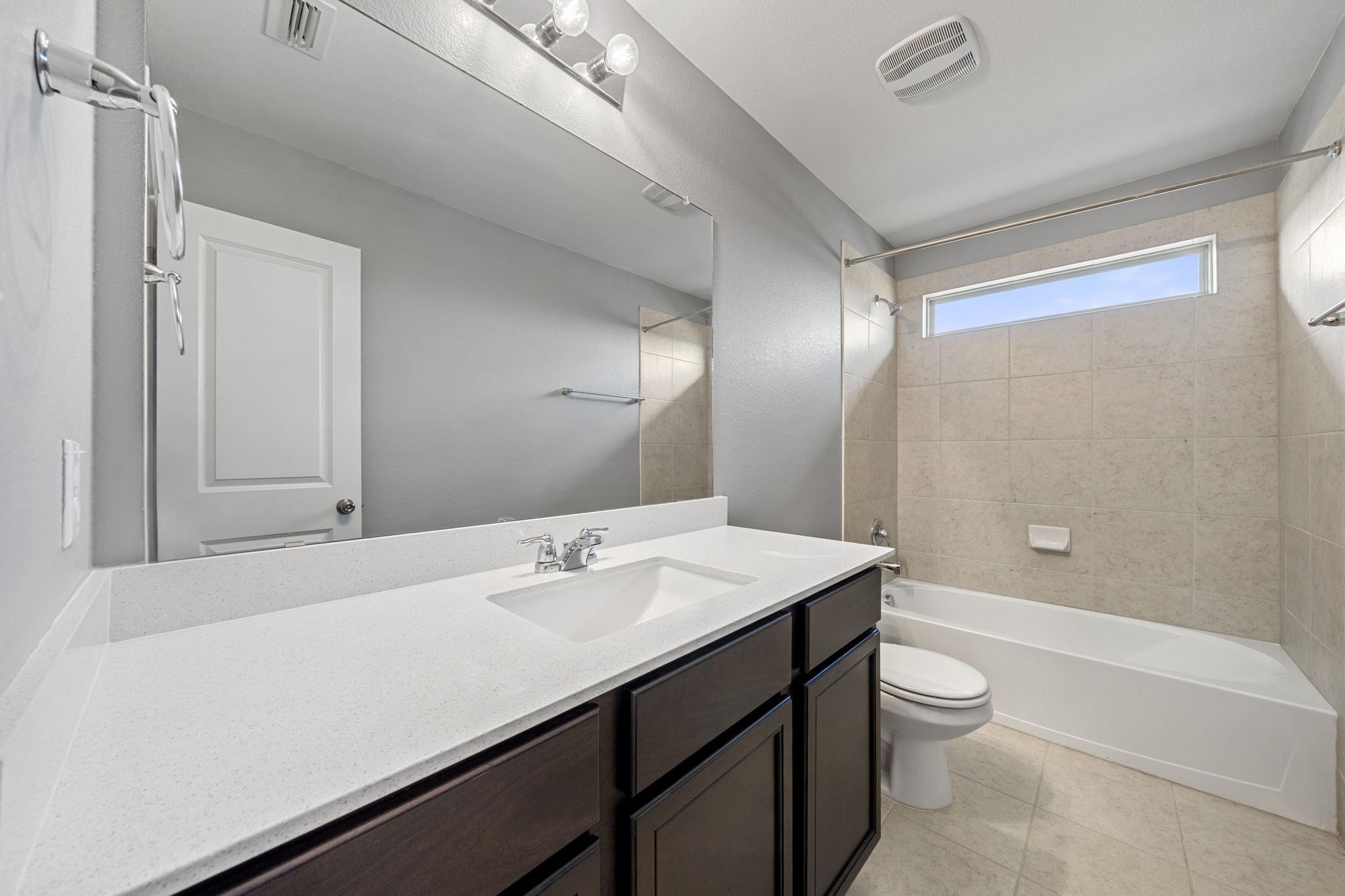436 Spinnaker LOOP