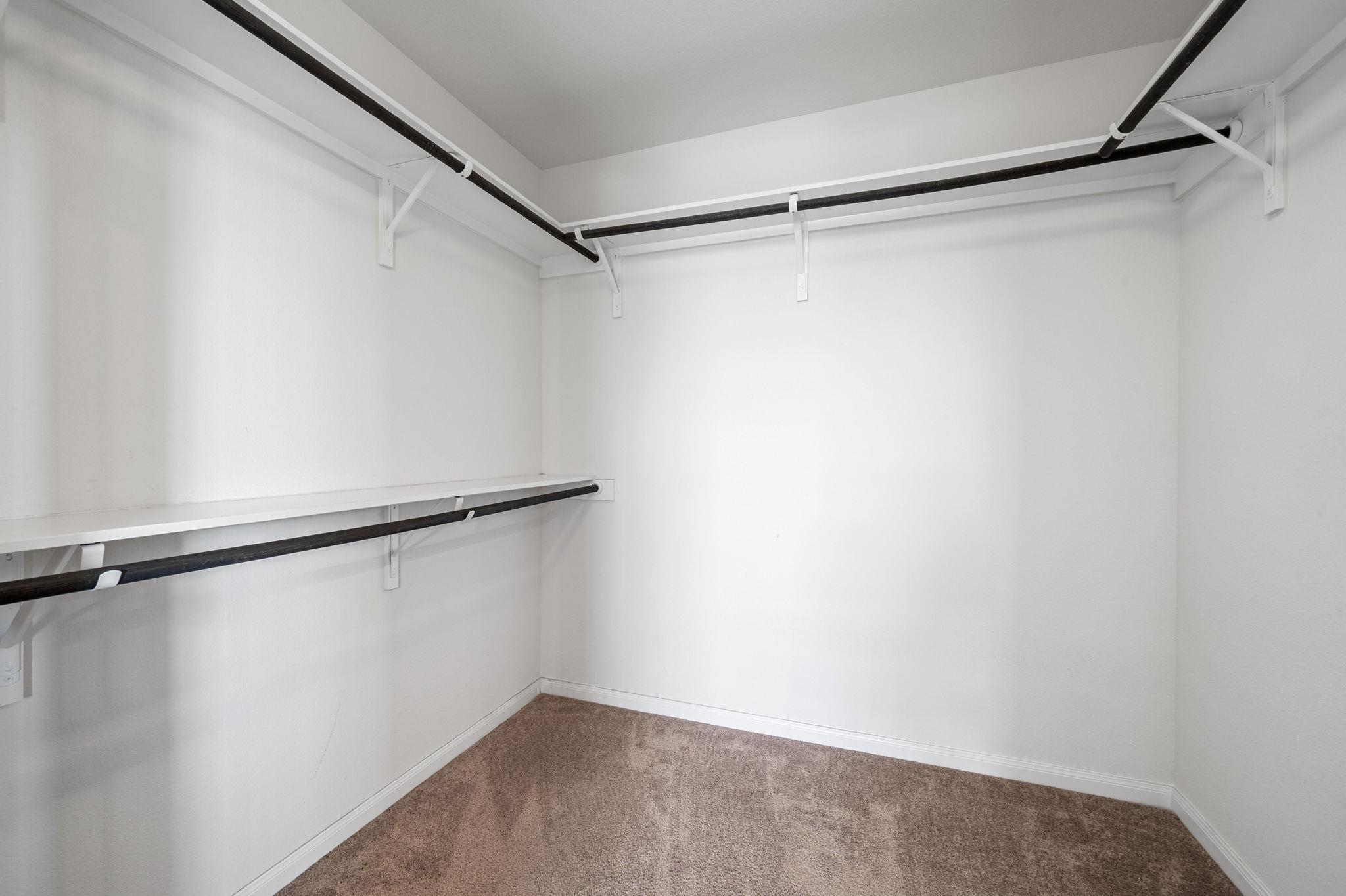 436 Spinnaker LOOP