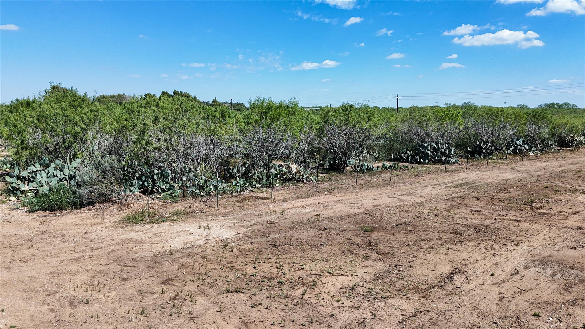 Lot 1 County Road 422