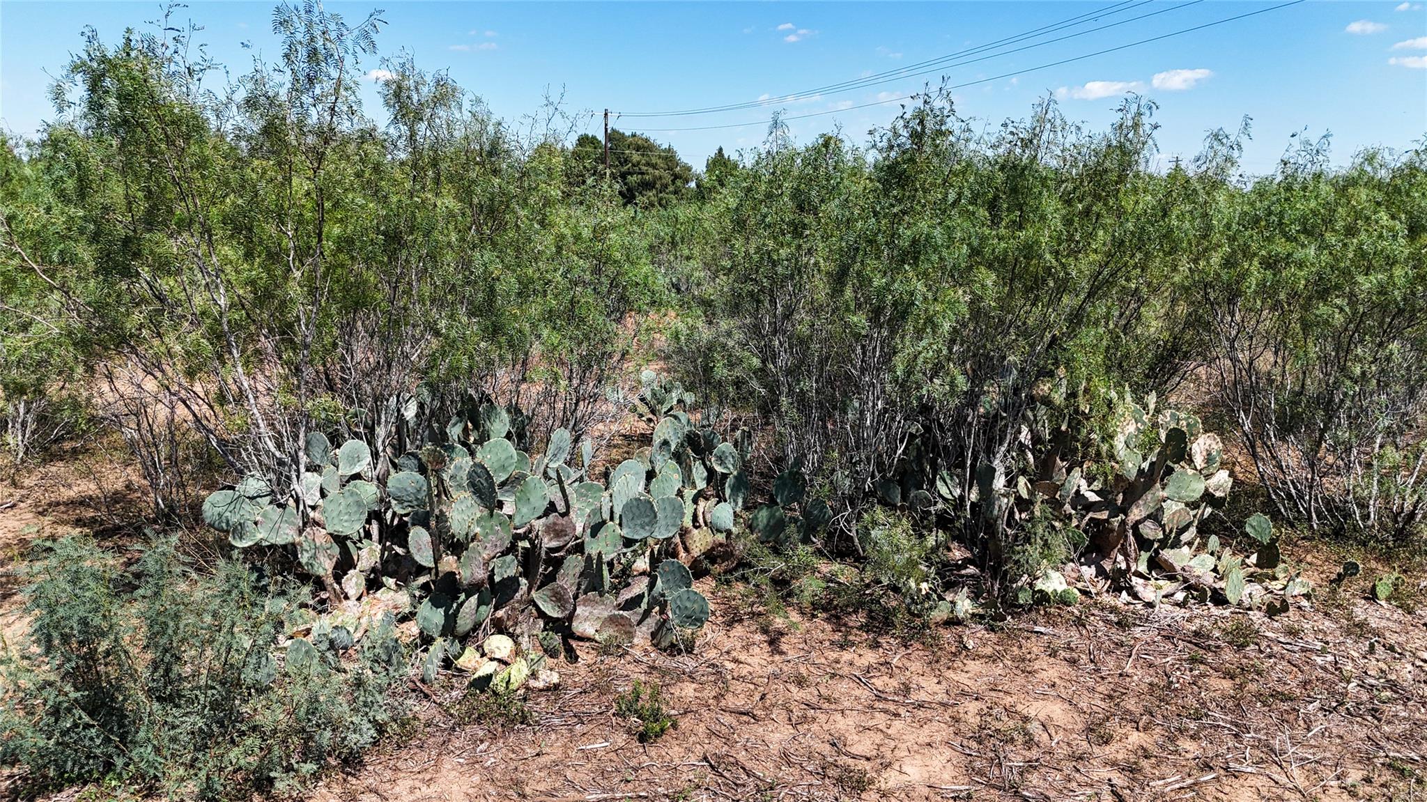 Lot 1 County Road 422