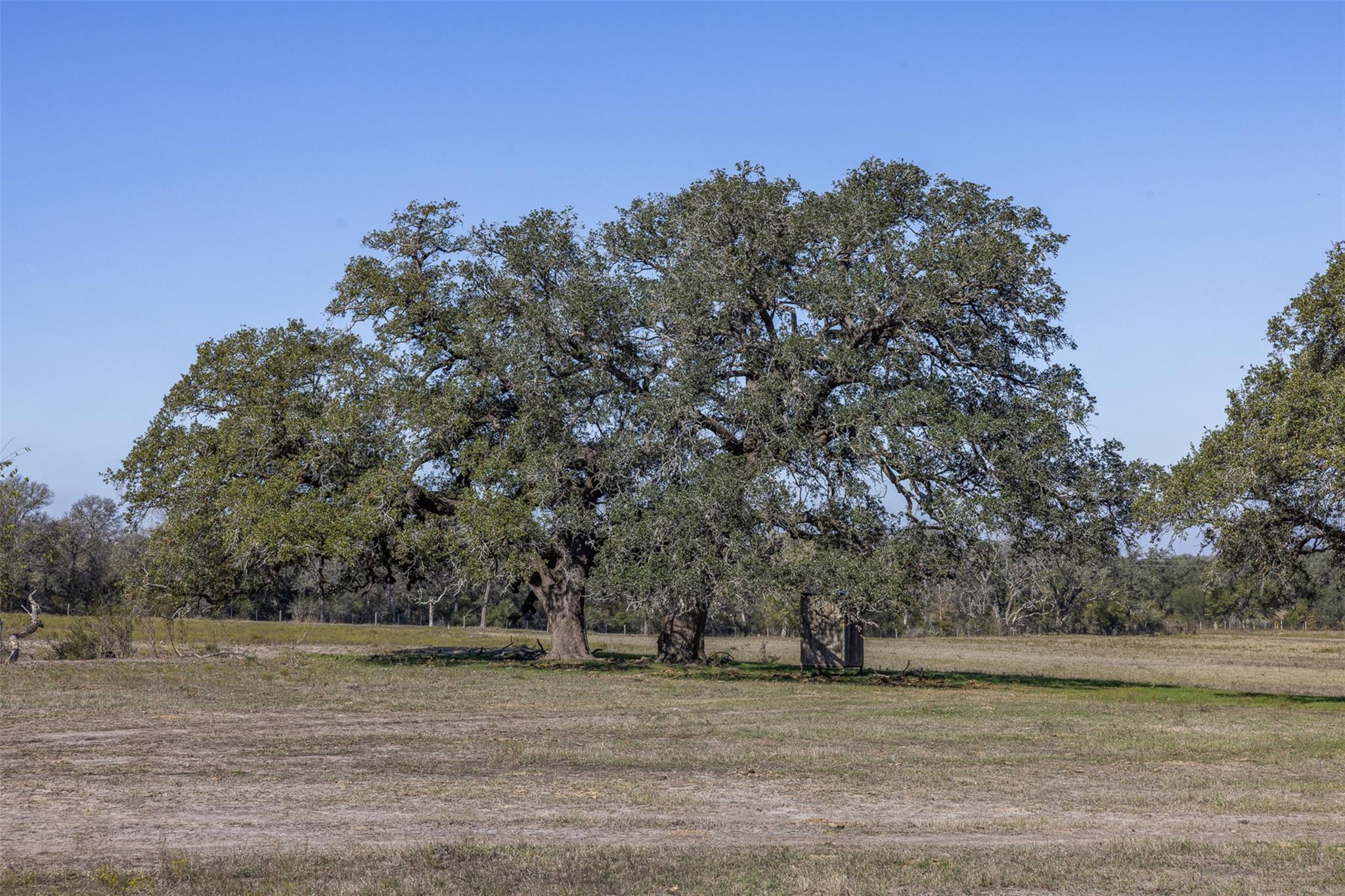 Tract J Farm to Market 795