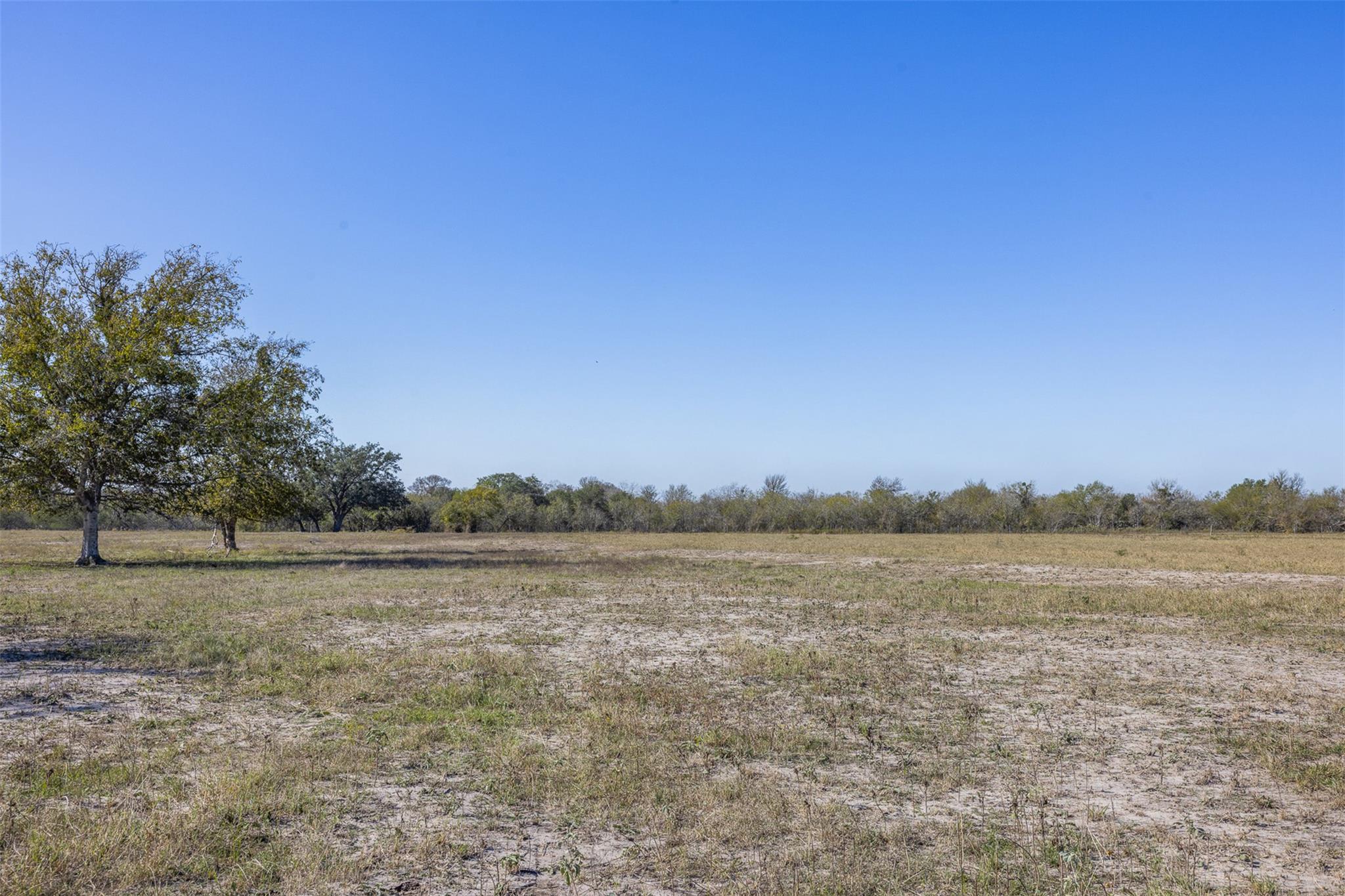 Tract J Farm to Market 795