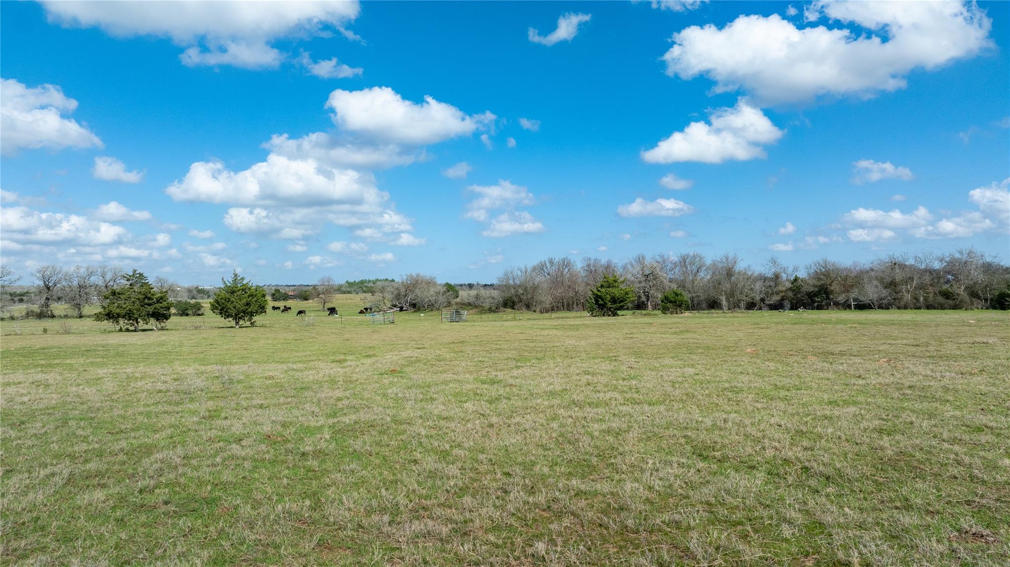 Lot 7 Mule Creek Rd