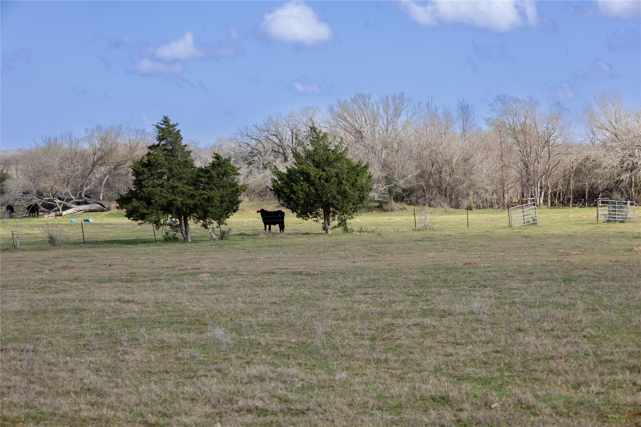 Lot 7 Mule Creek Rd
