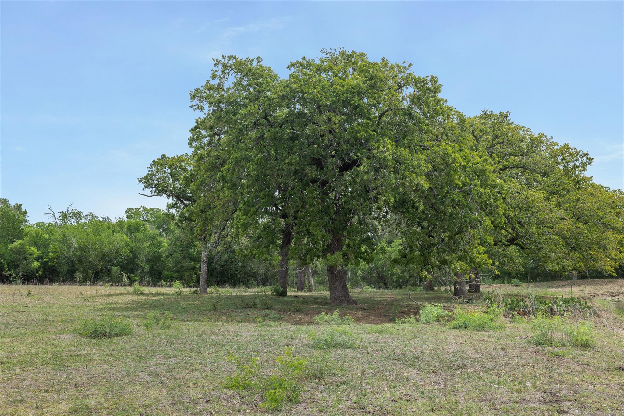 9765 State Park RD