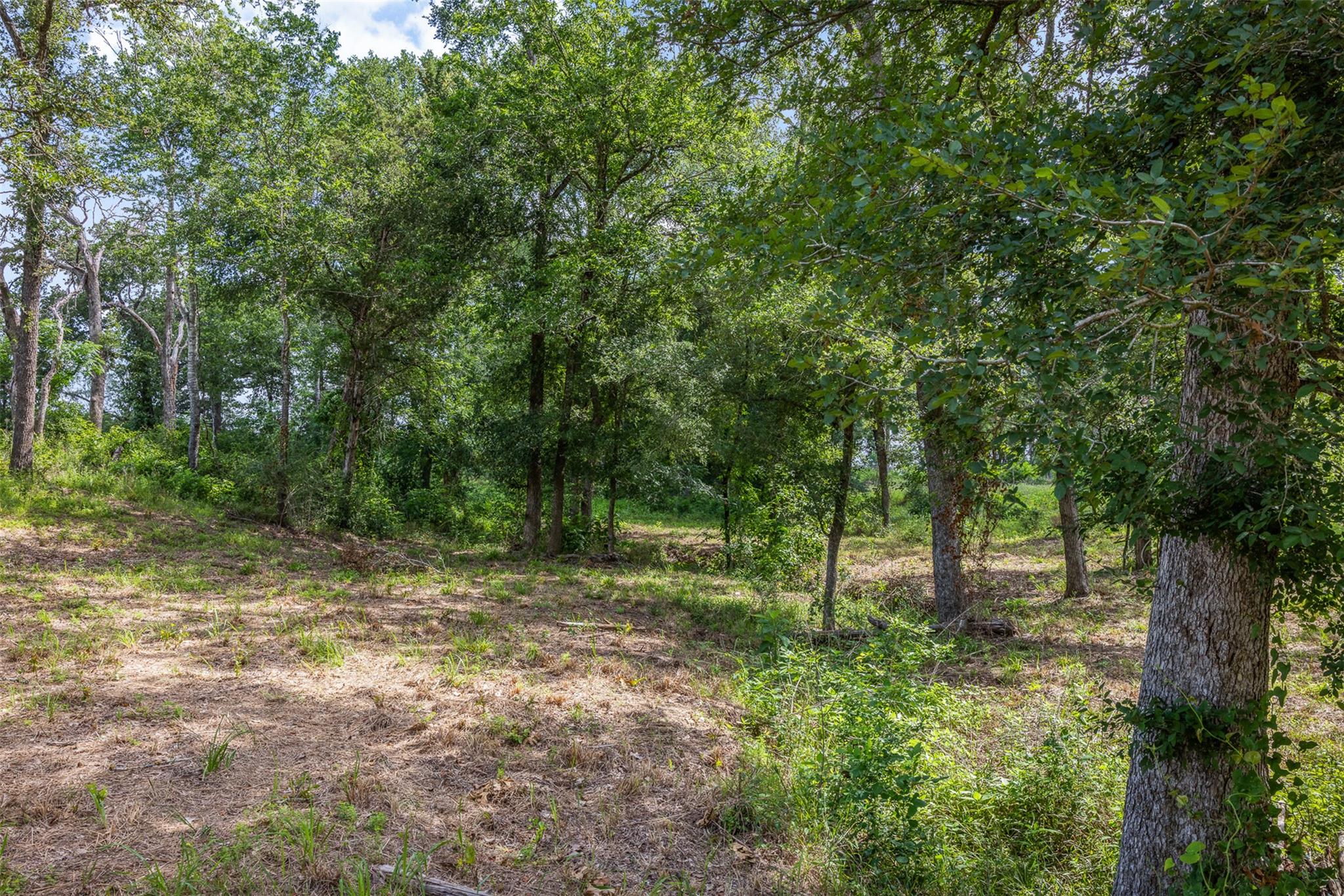 305 Cistern RD