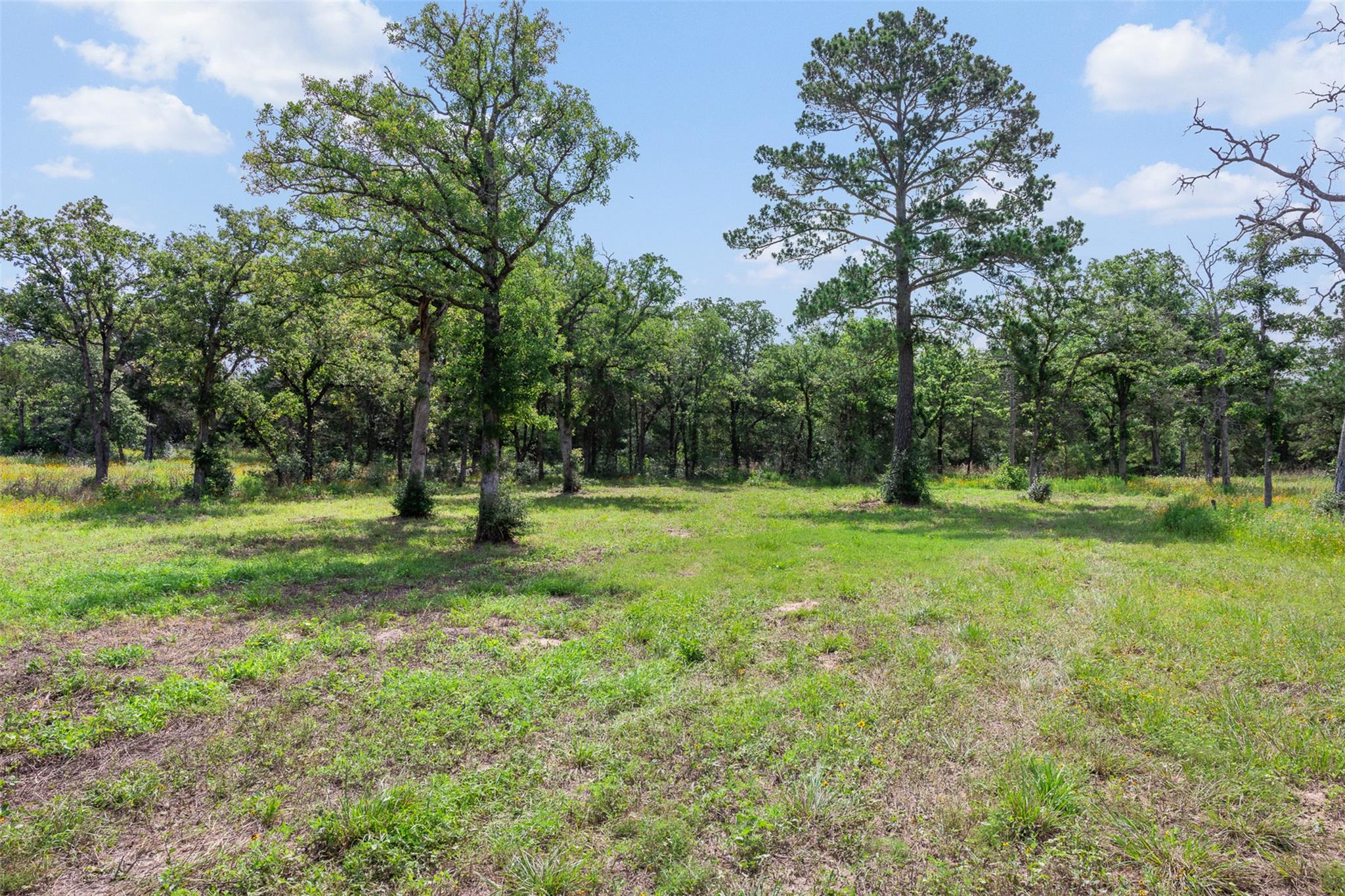 305 Cistern RD
