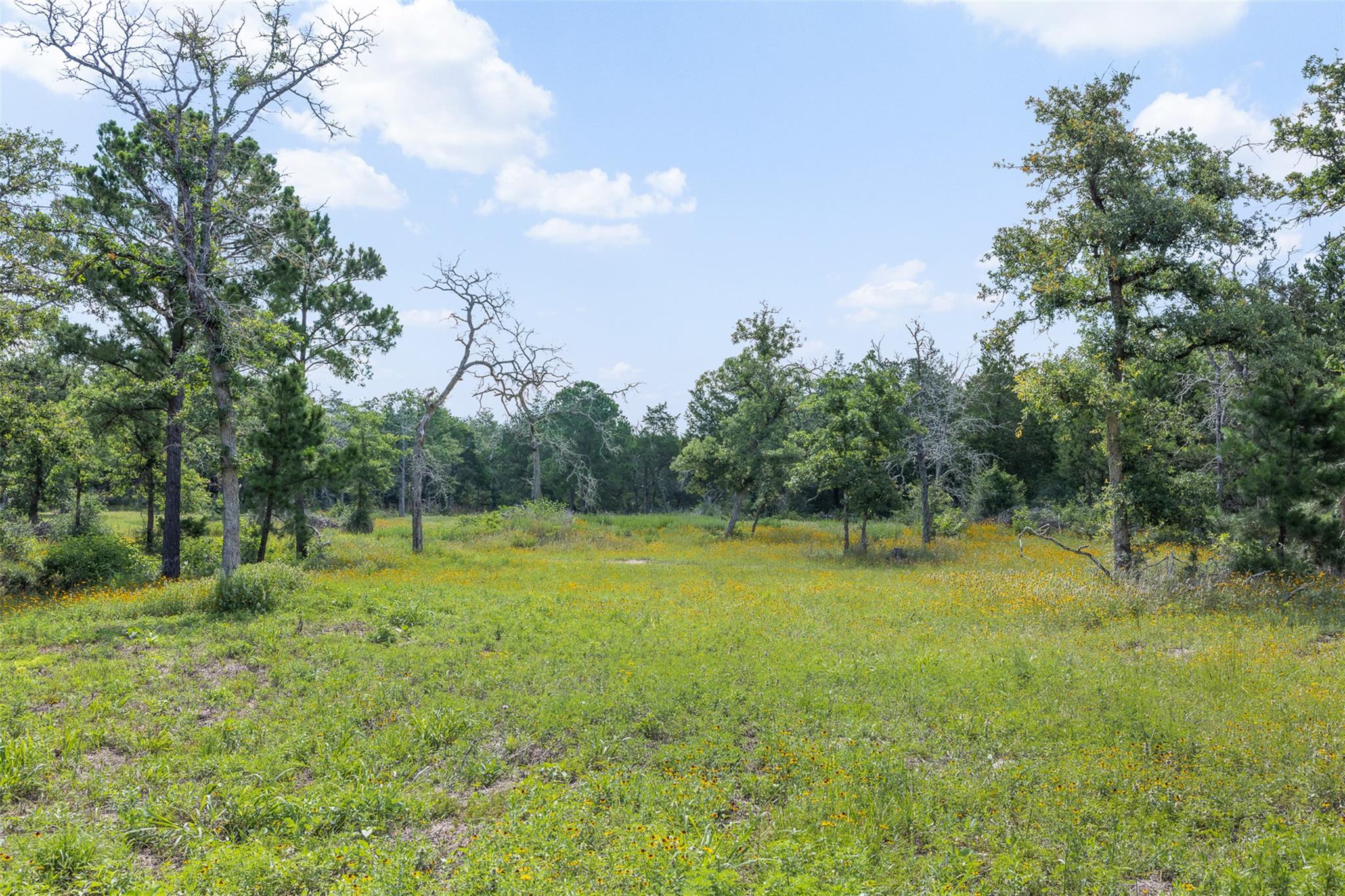 305 Cistern RD
