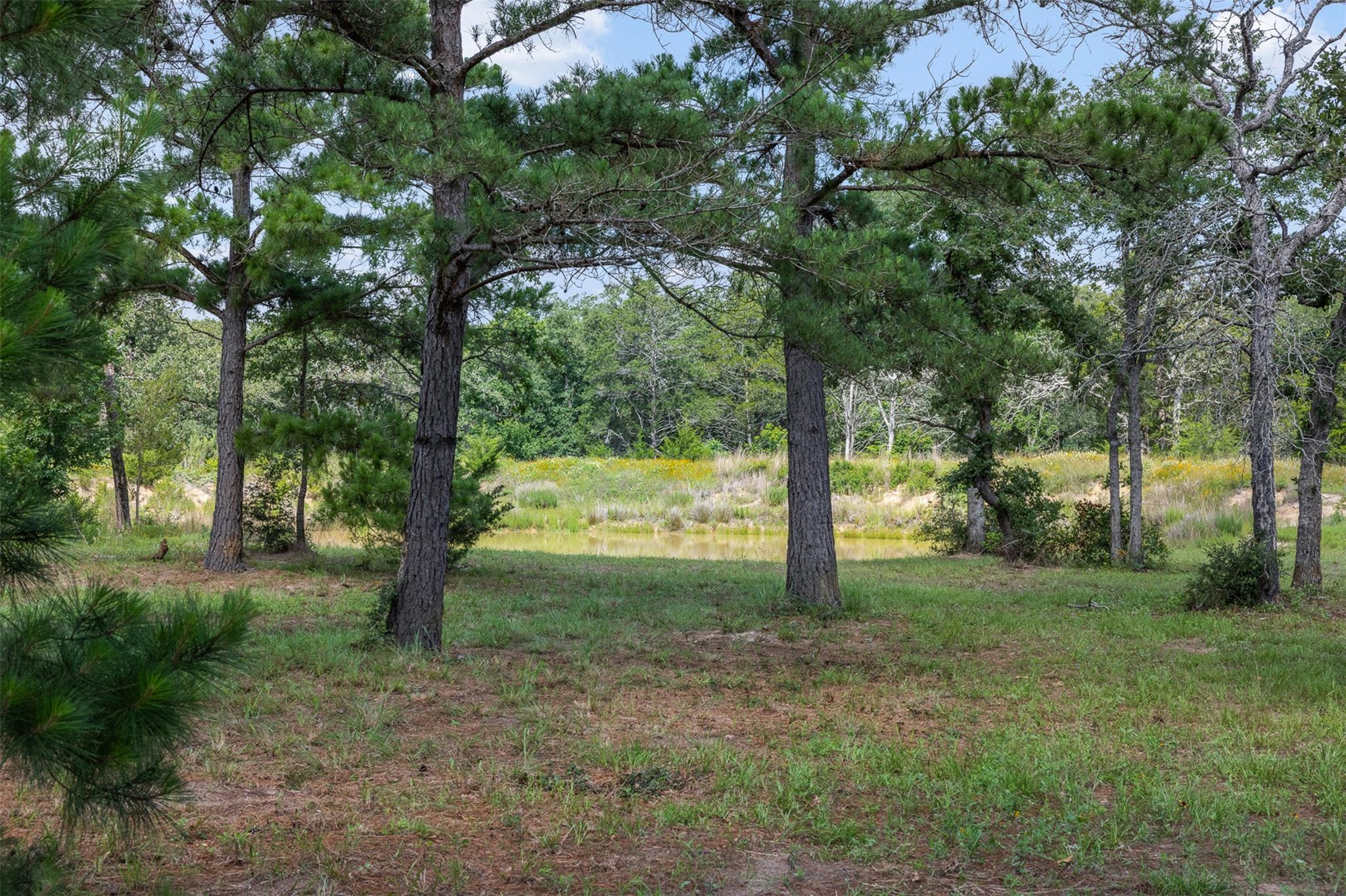 305 Cistern RD