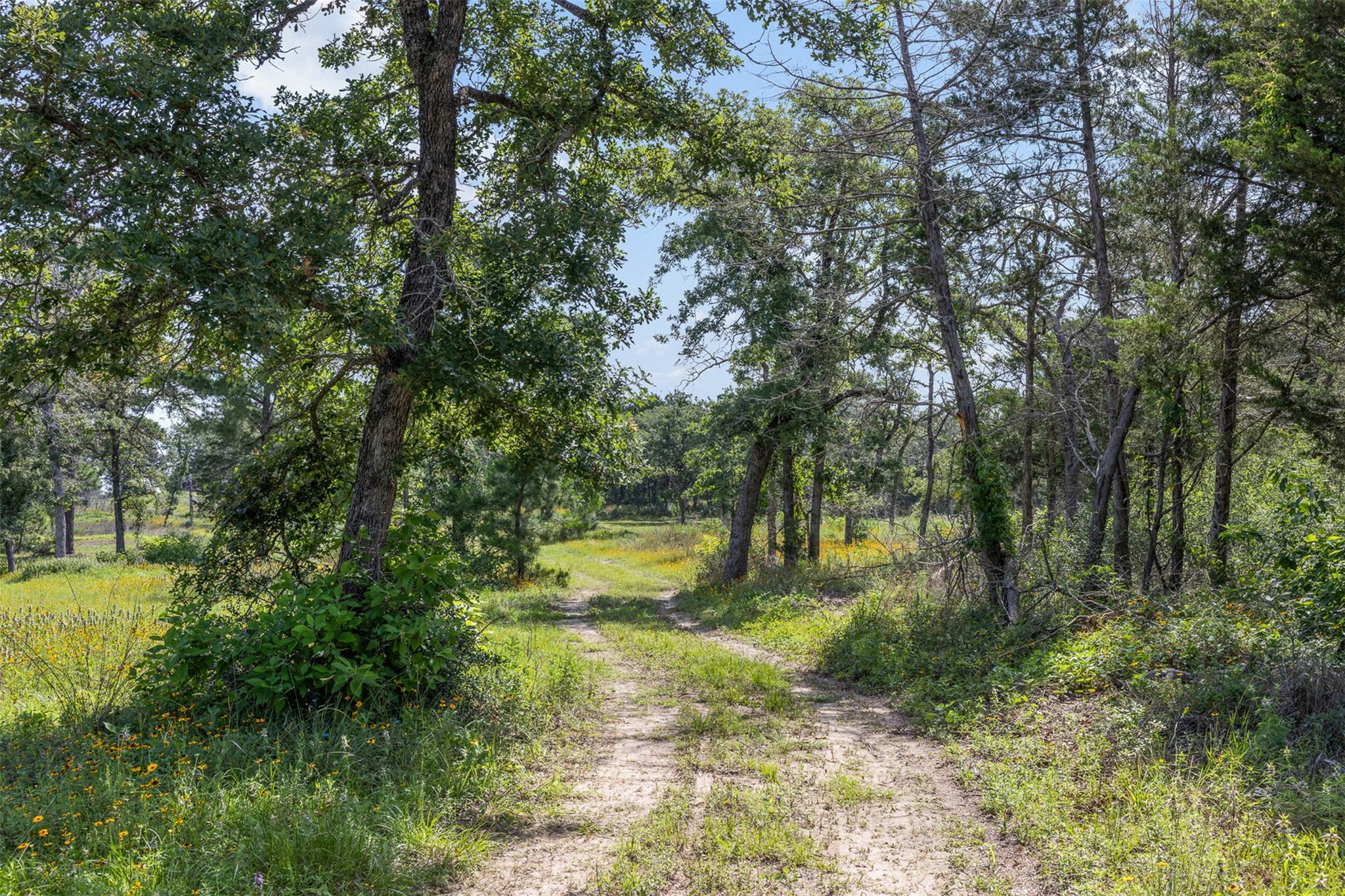 305 Cistern RD