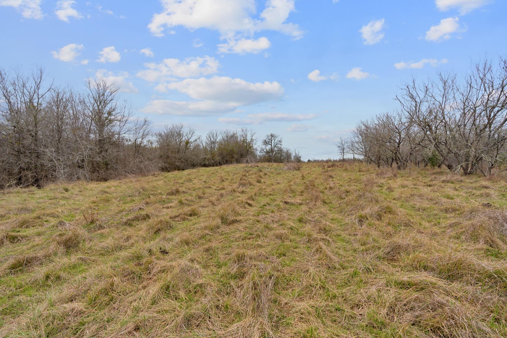 763 Upper Elgin River RD