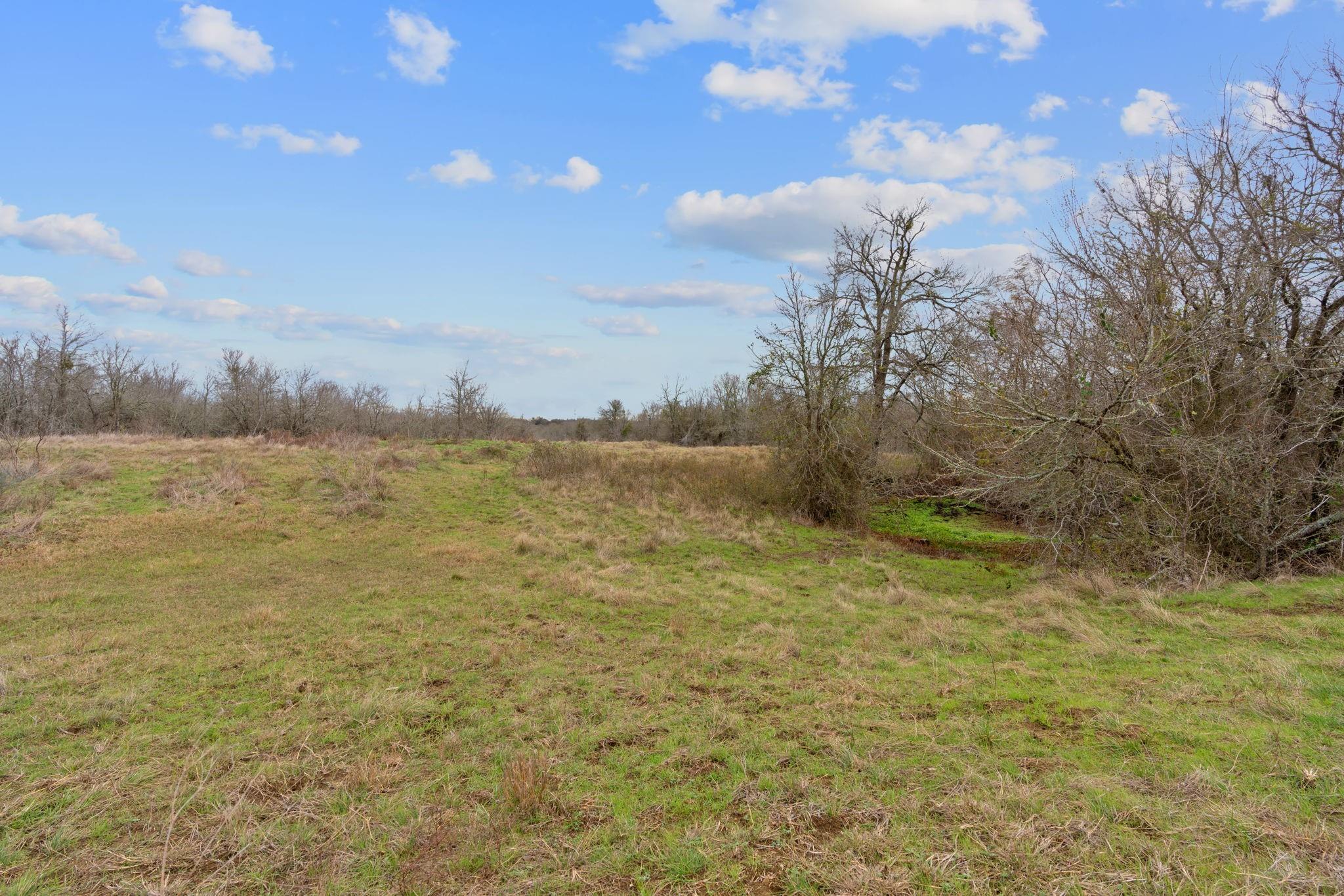 763 Upper Elgin River RD