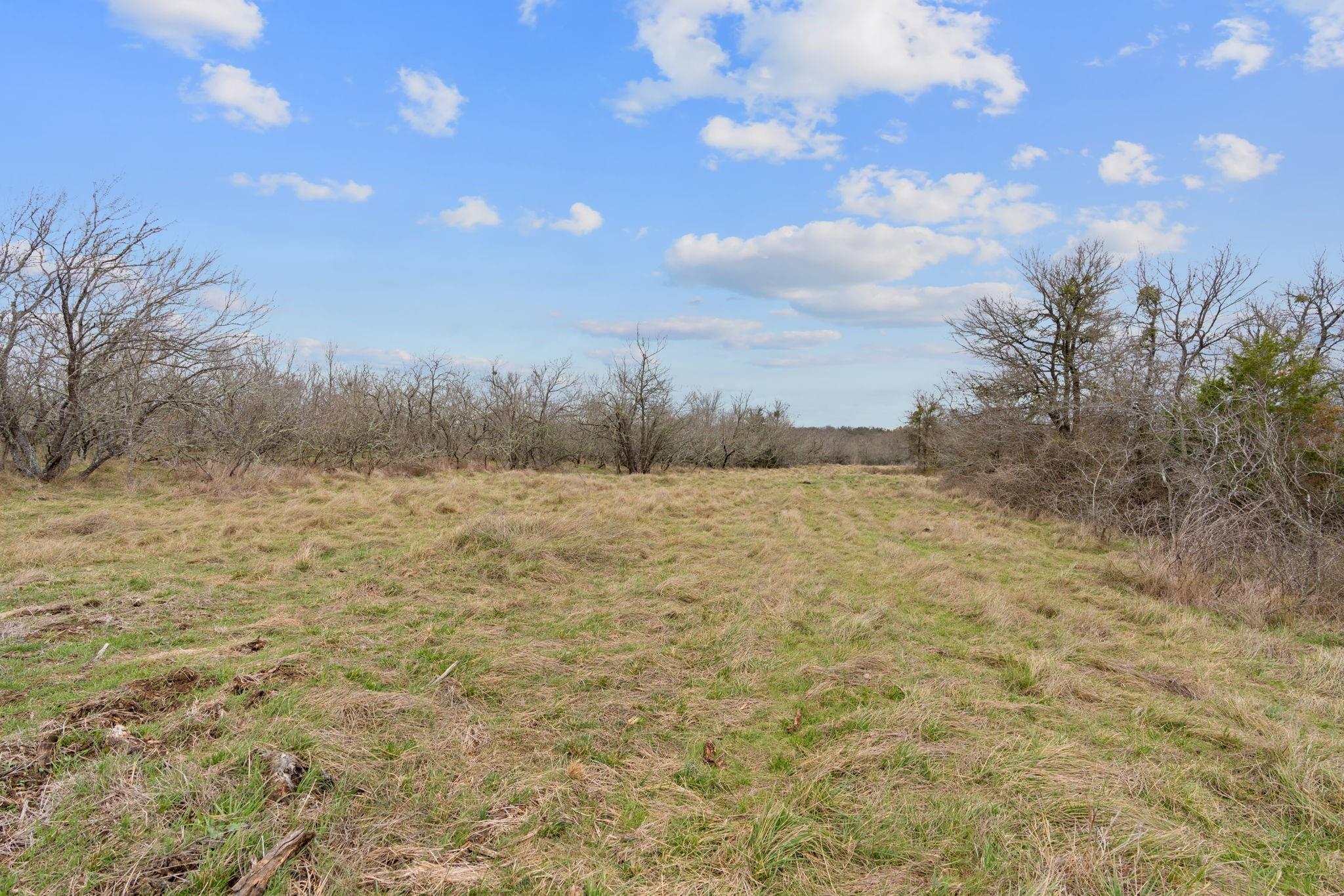 763 Upper Elgin River RD