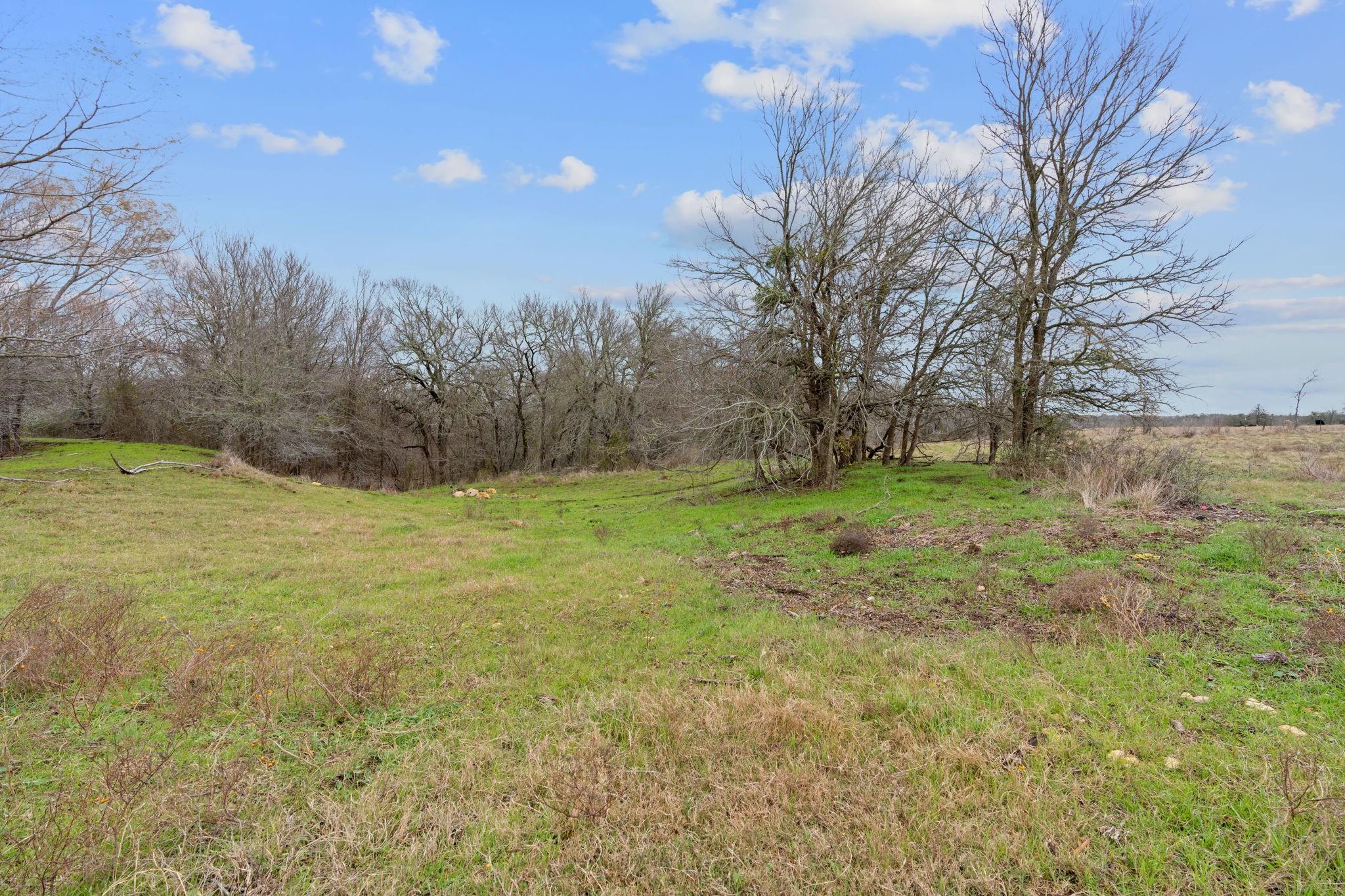 763 Upper Elgin River RD