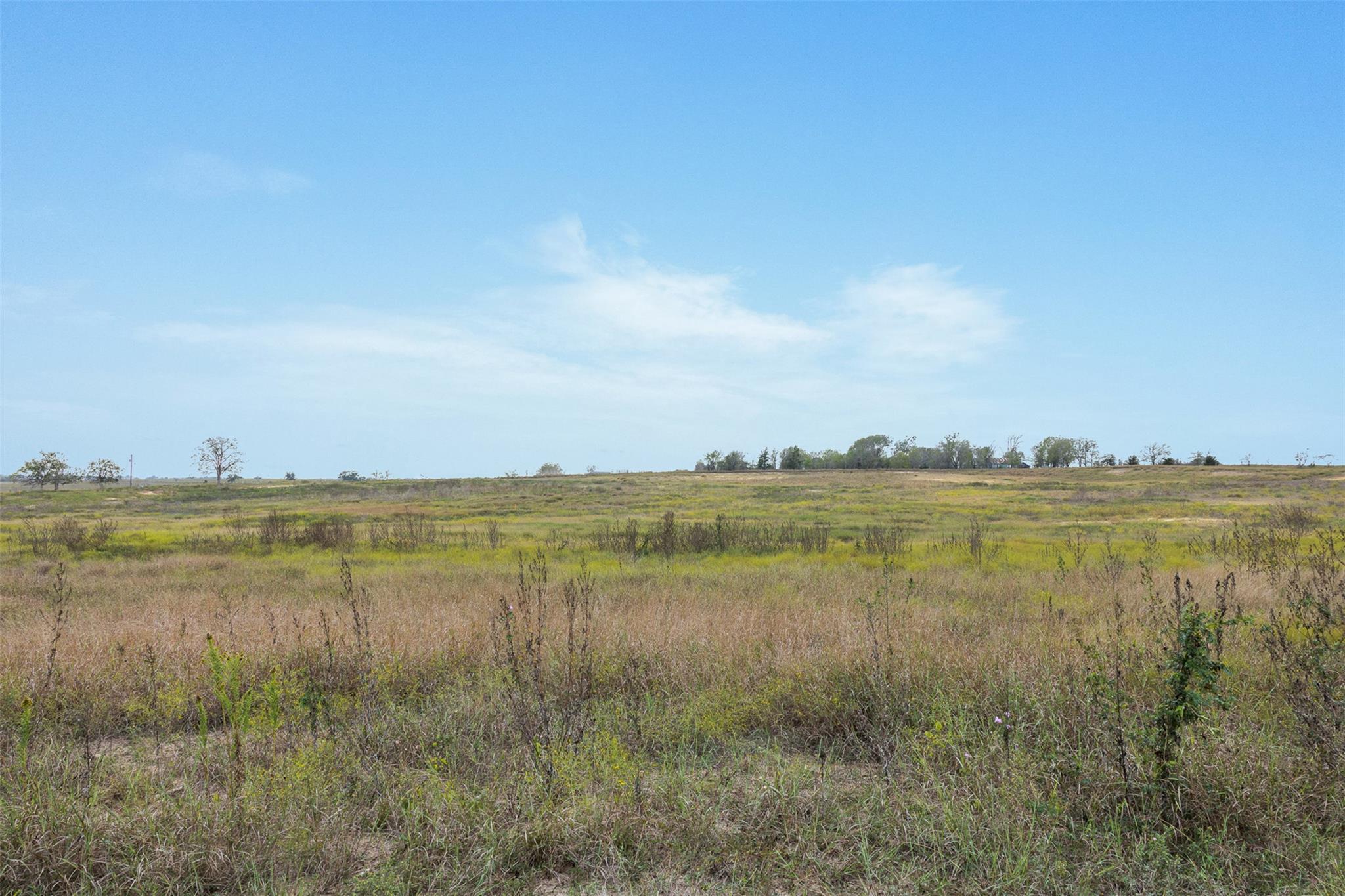 Lot 4 County Road 335