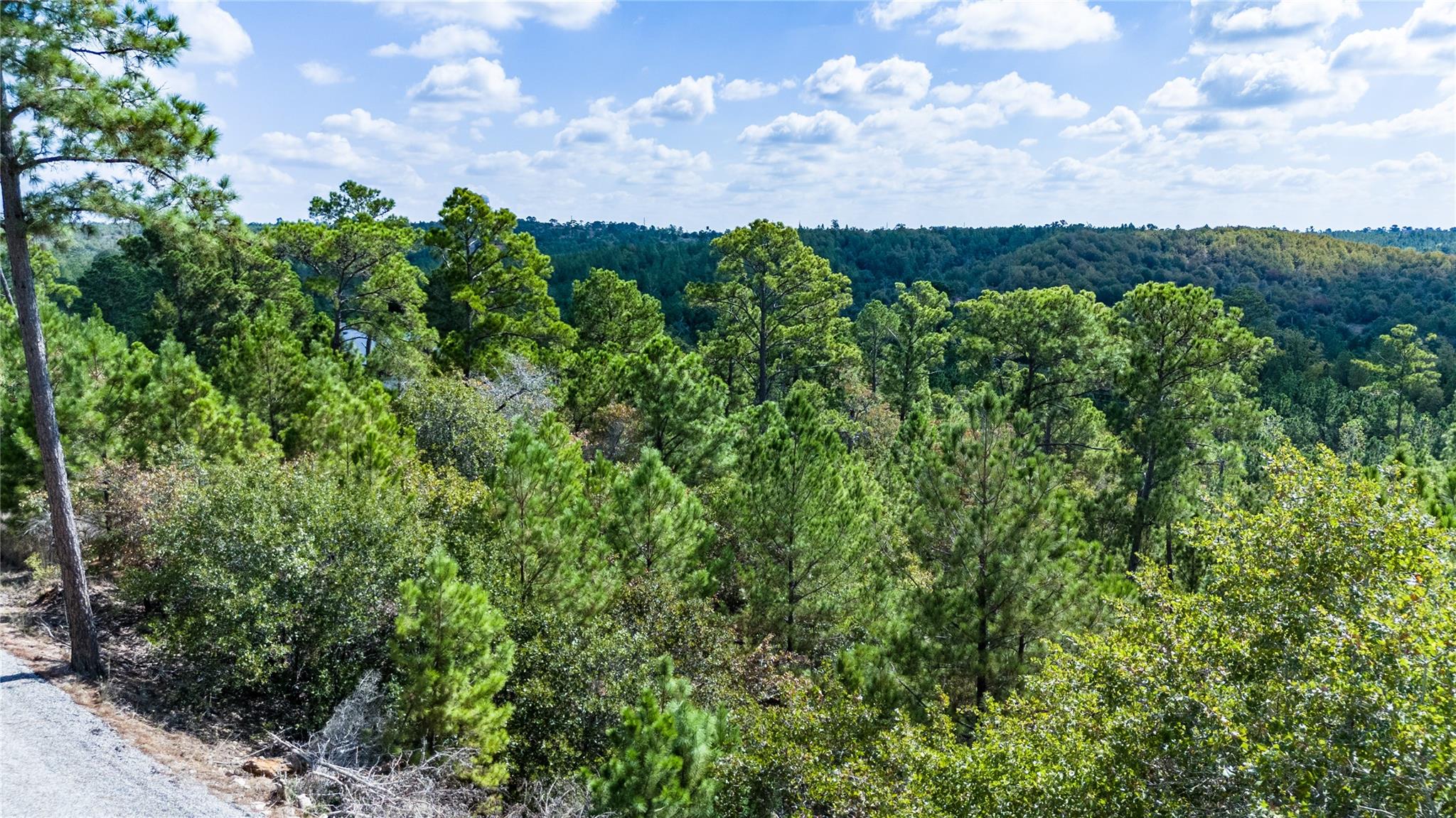 Lot 707 E Wiamea CT
