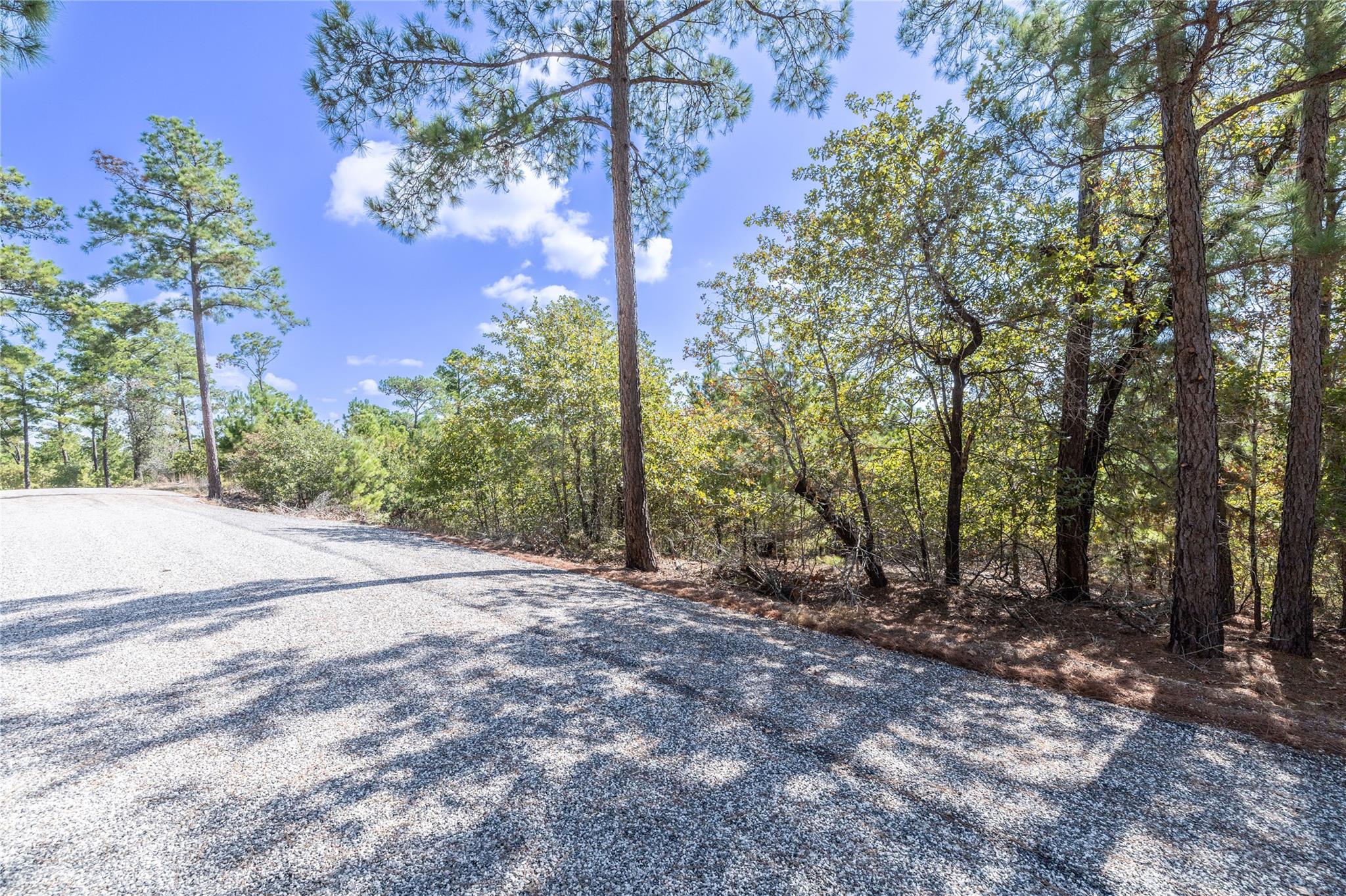 Lot 707 E Wiamea CT