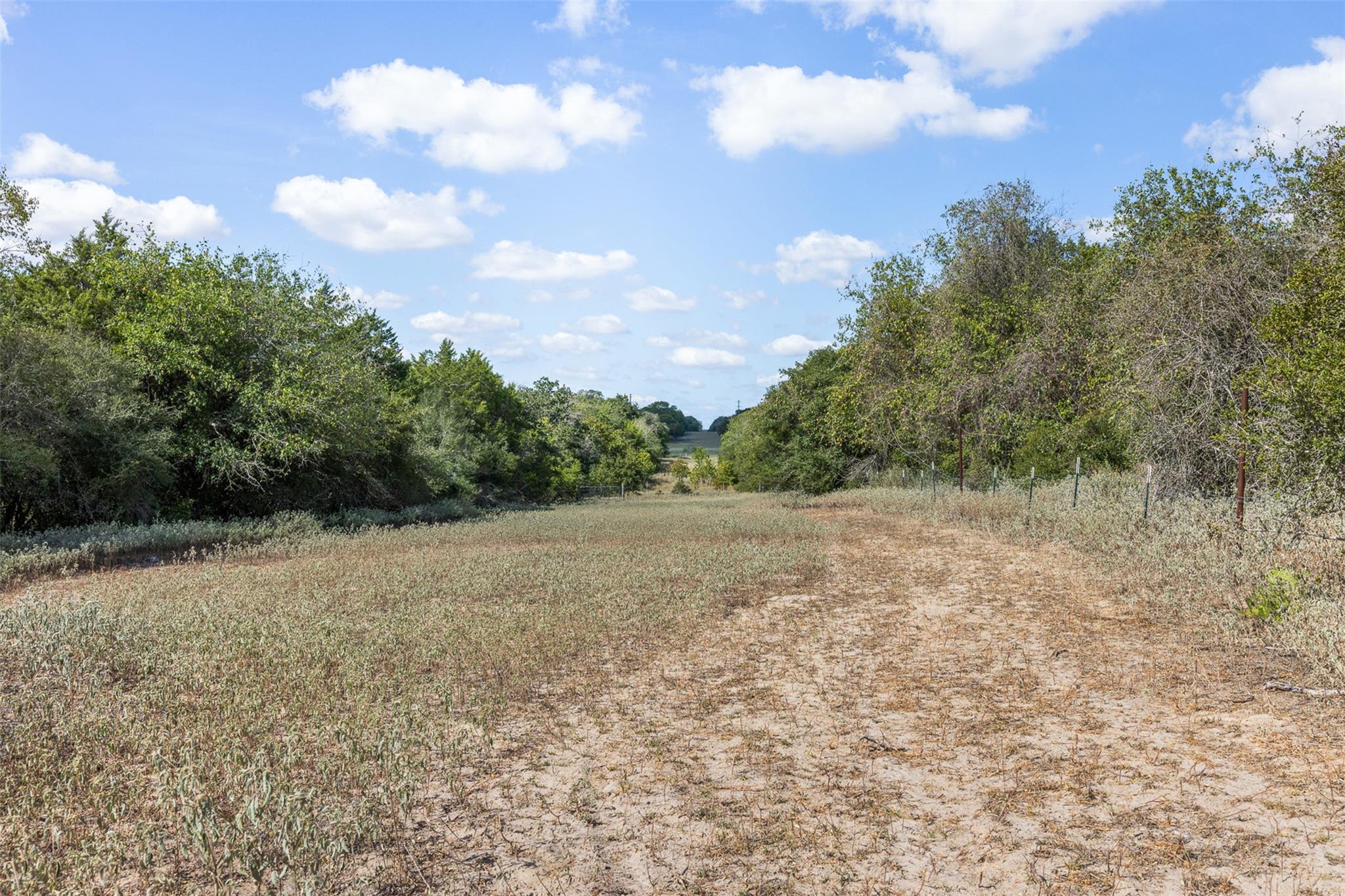 2025 Mule Creek RD