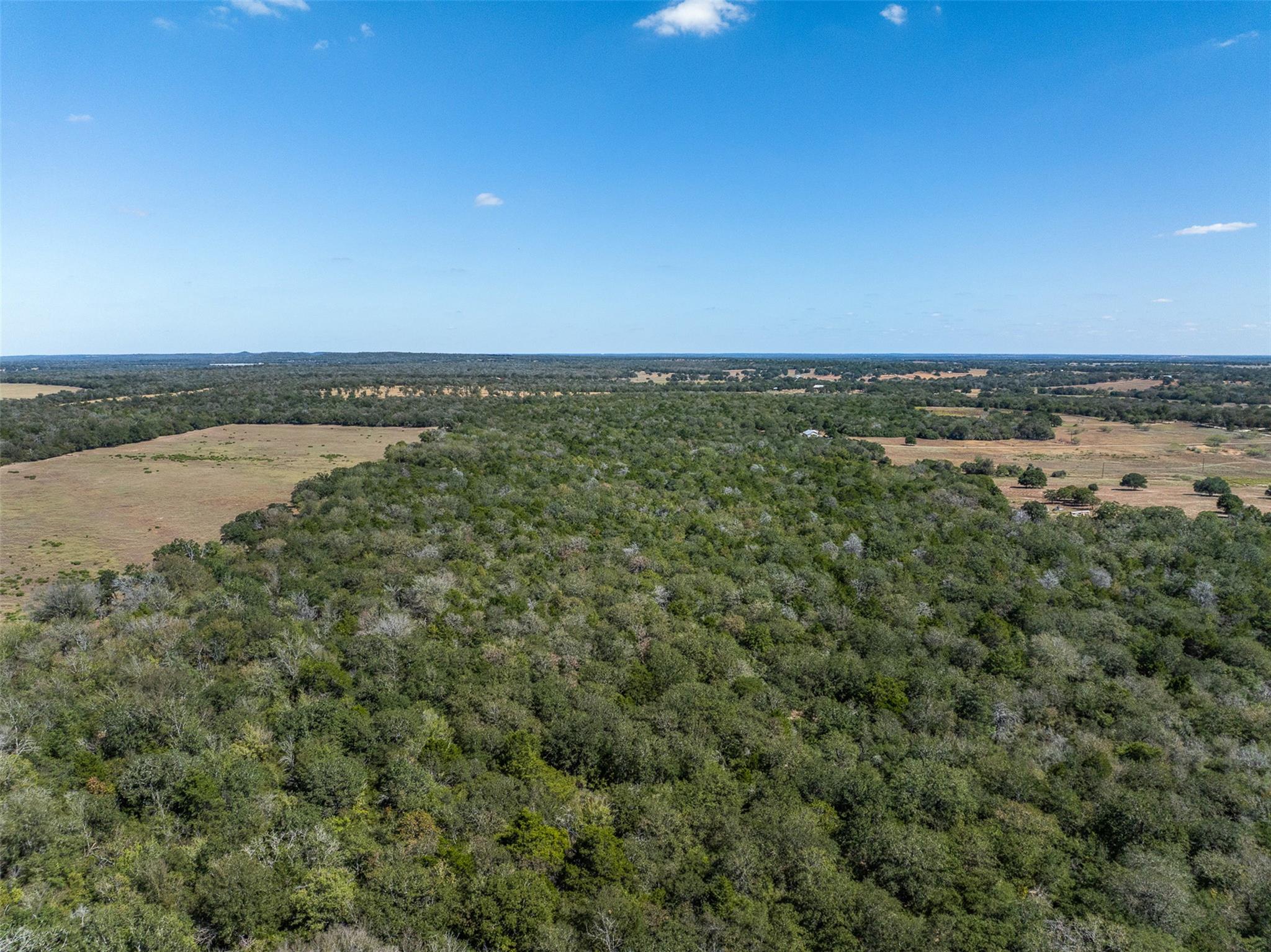 2025 Mule Creek RD