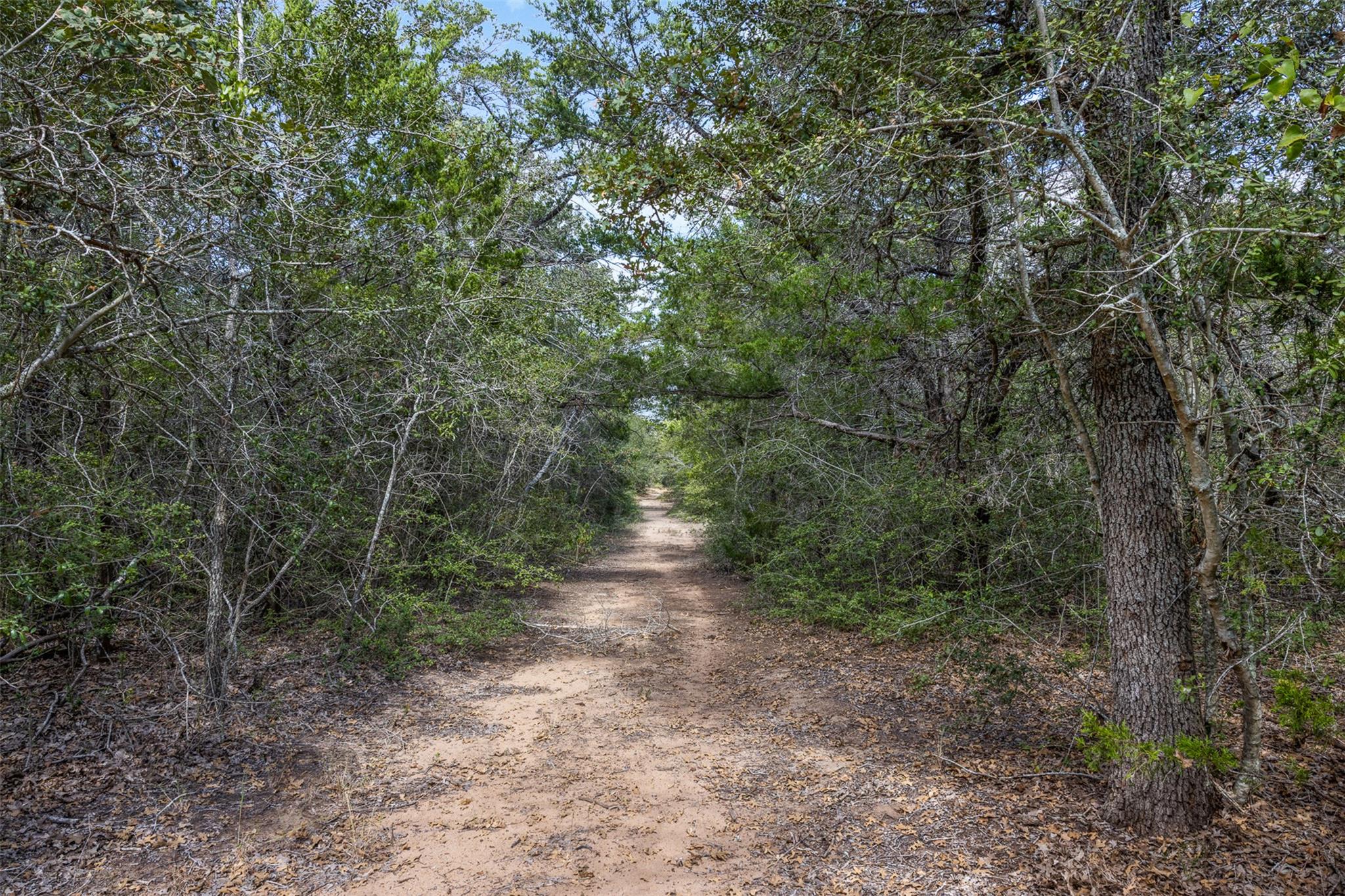 2025 Mule Creek RD