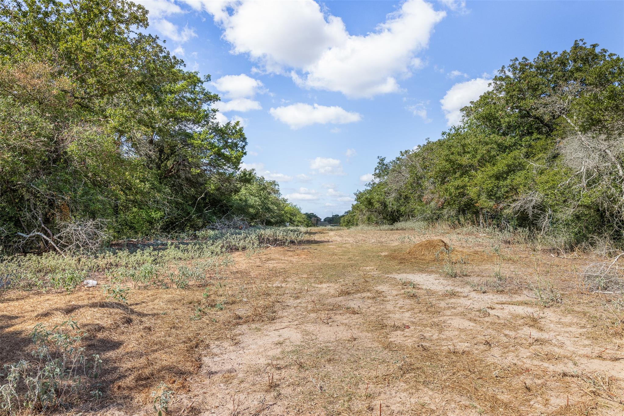 2025 Mule Creek RD