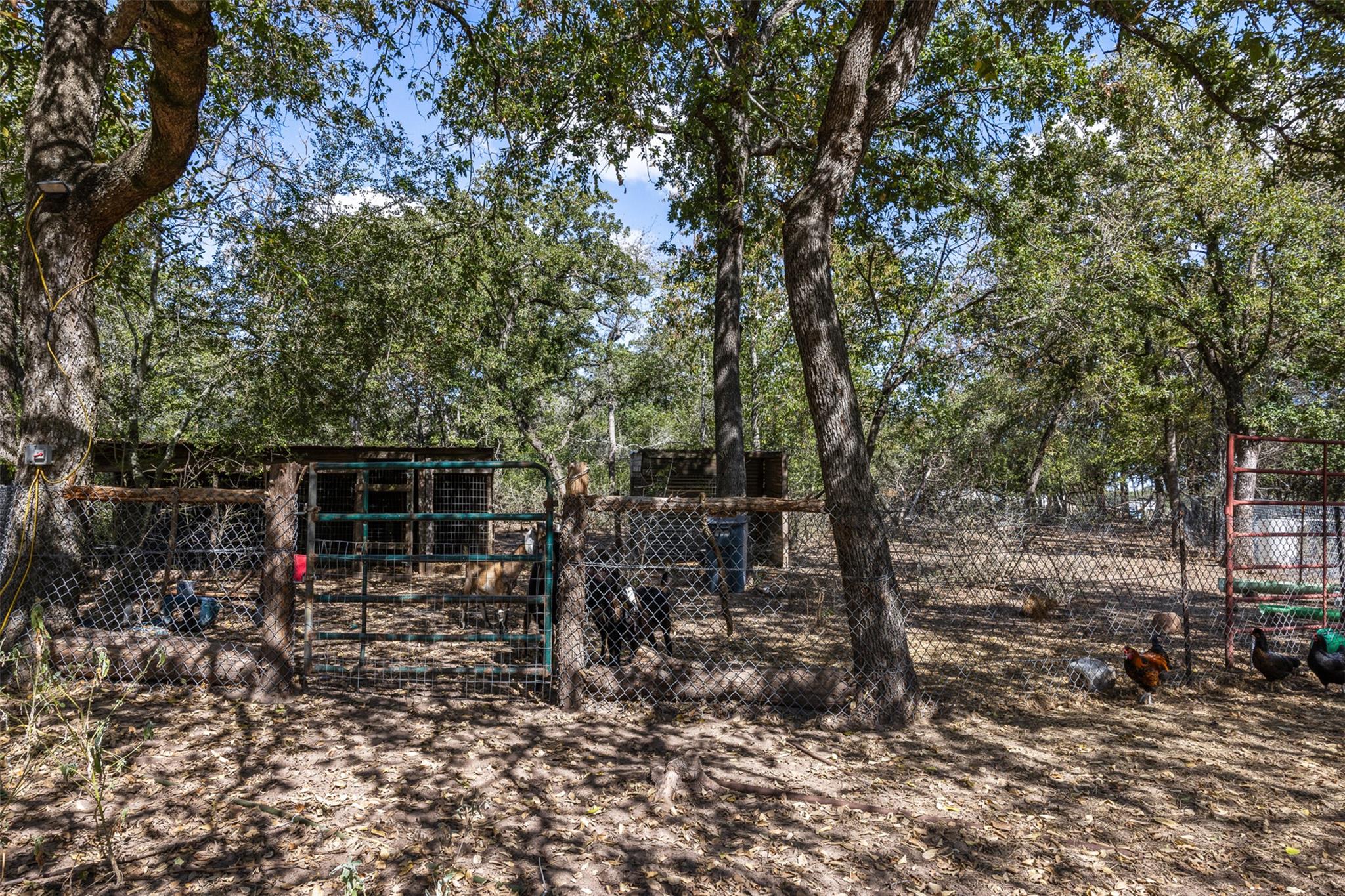 2025 Mule Creek RD
